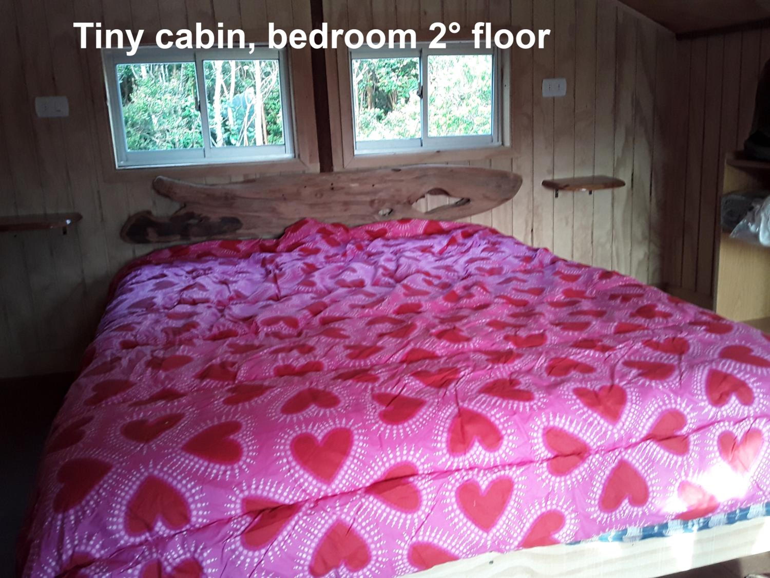One-Bedroom House photo 3