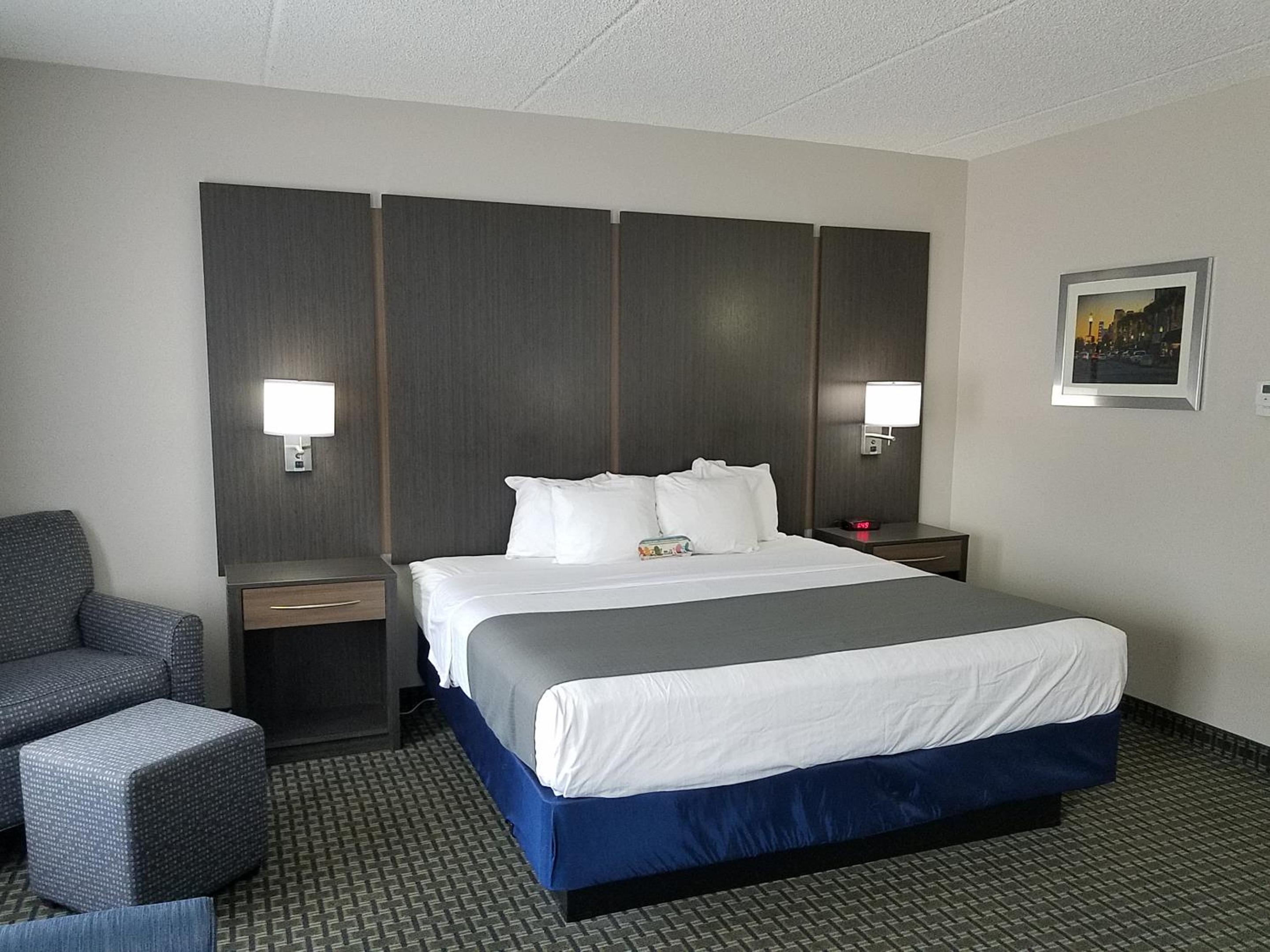 Large King Room - Non-Smoking - Photo 10