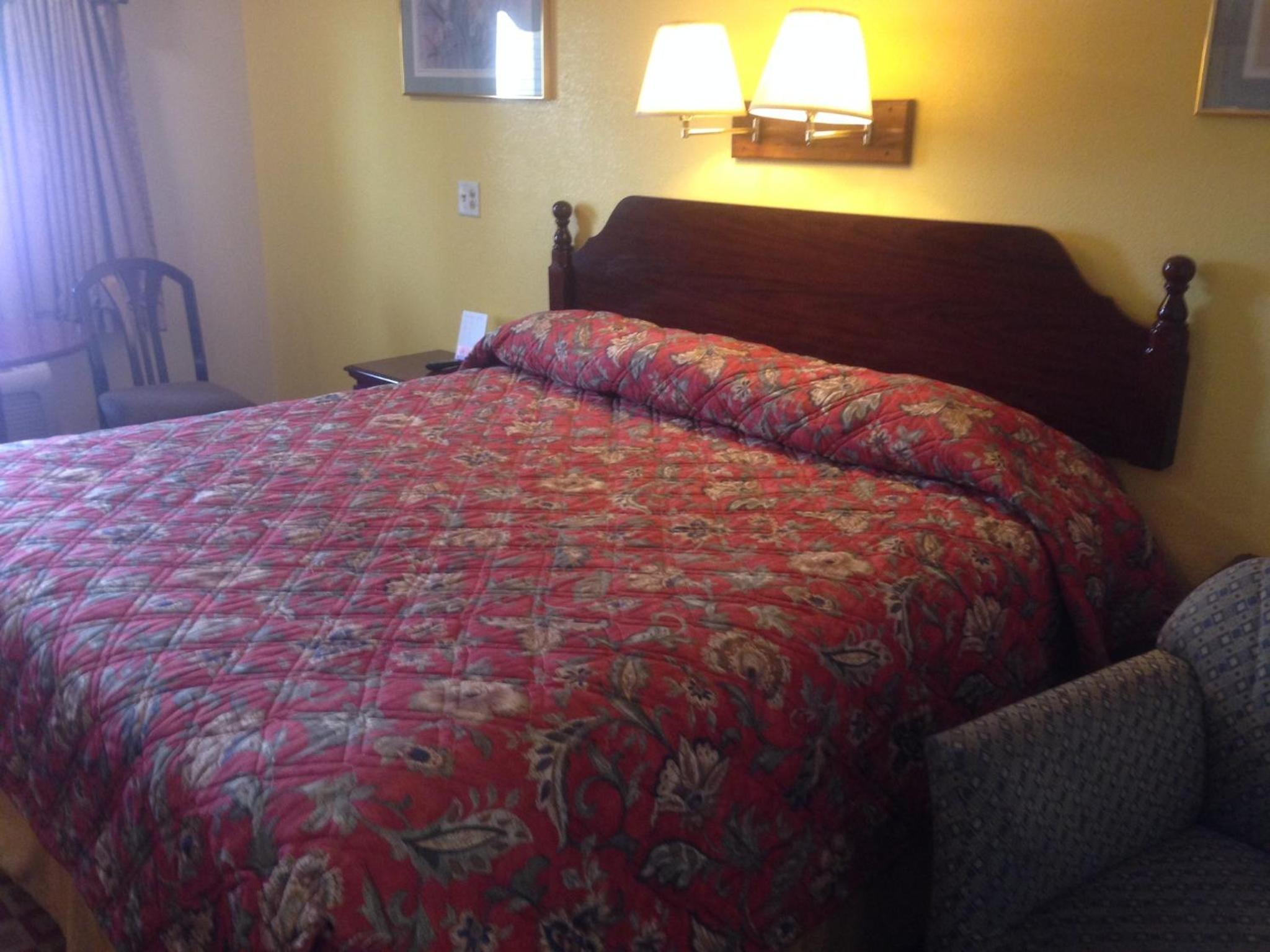 King Room photo 1