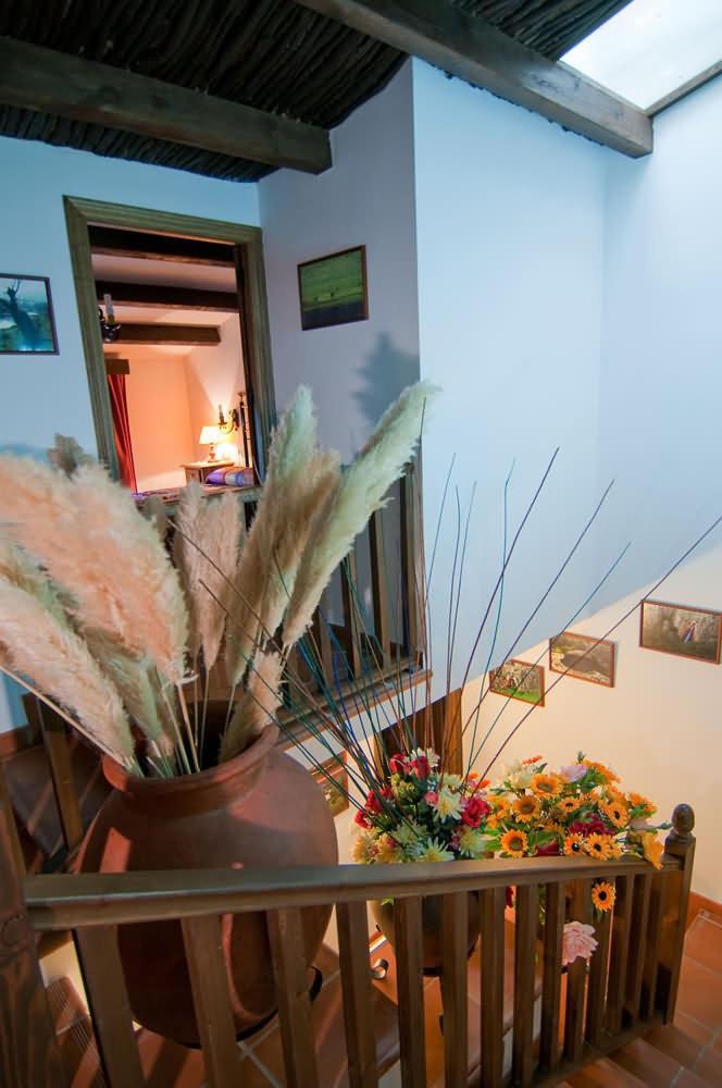 Six-Bedroom House - Photo 5