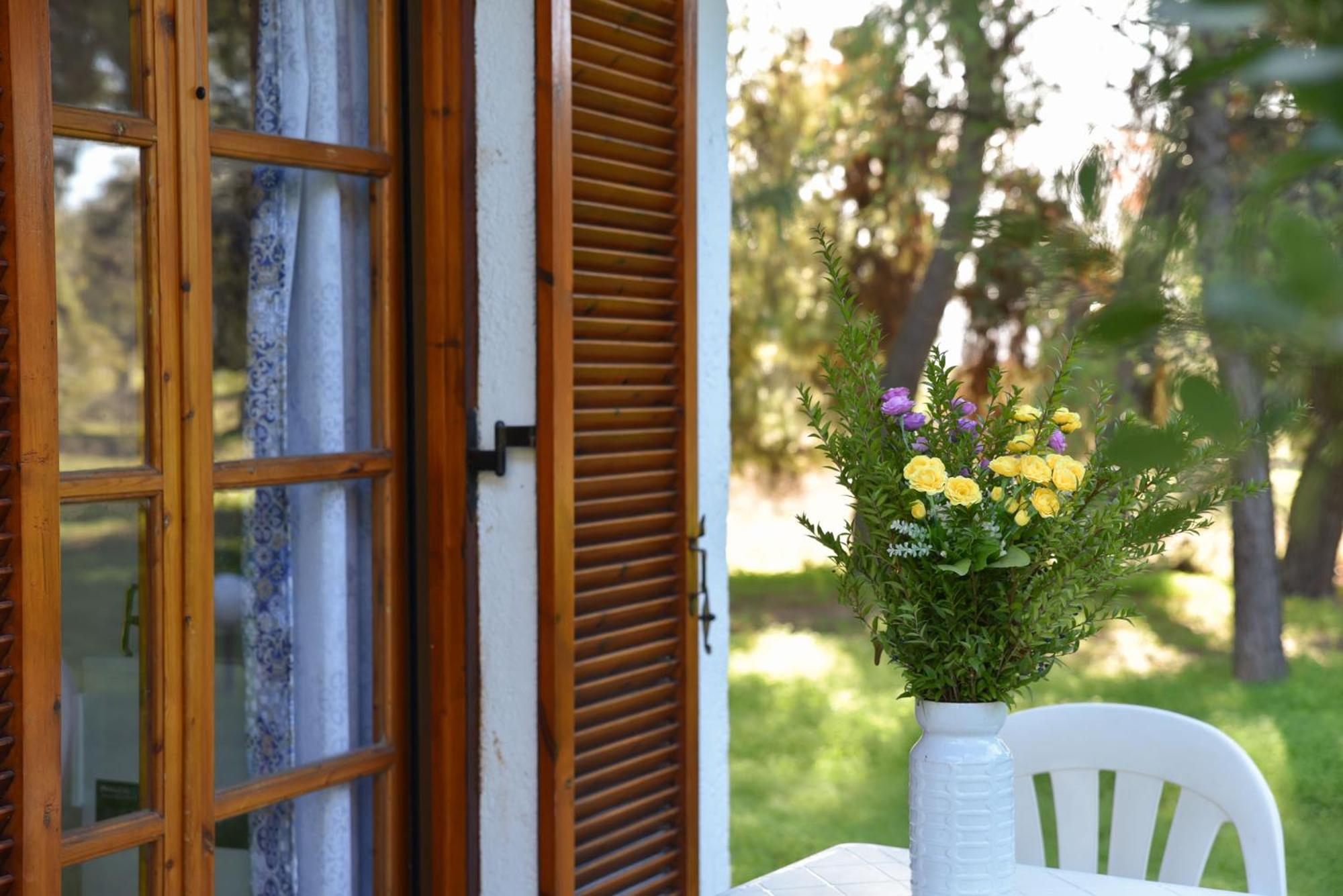 Studio with Garden View - Photo 10