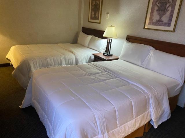 Double Room with Two Double Beds