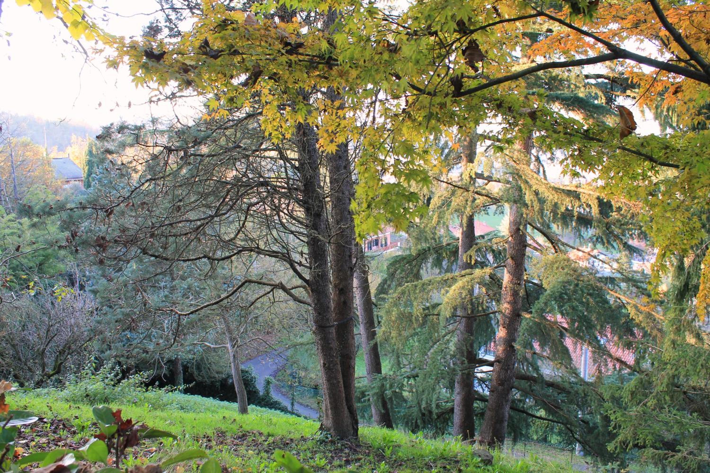 Two-Bedroom House - Photo 12