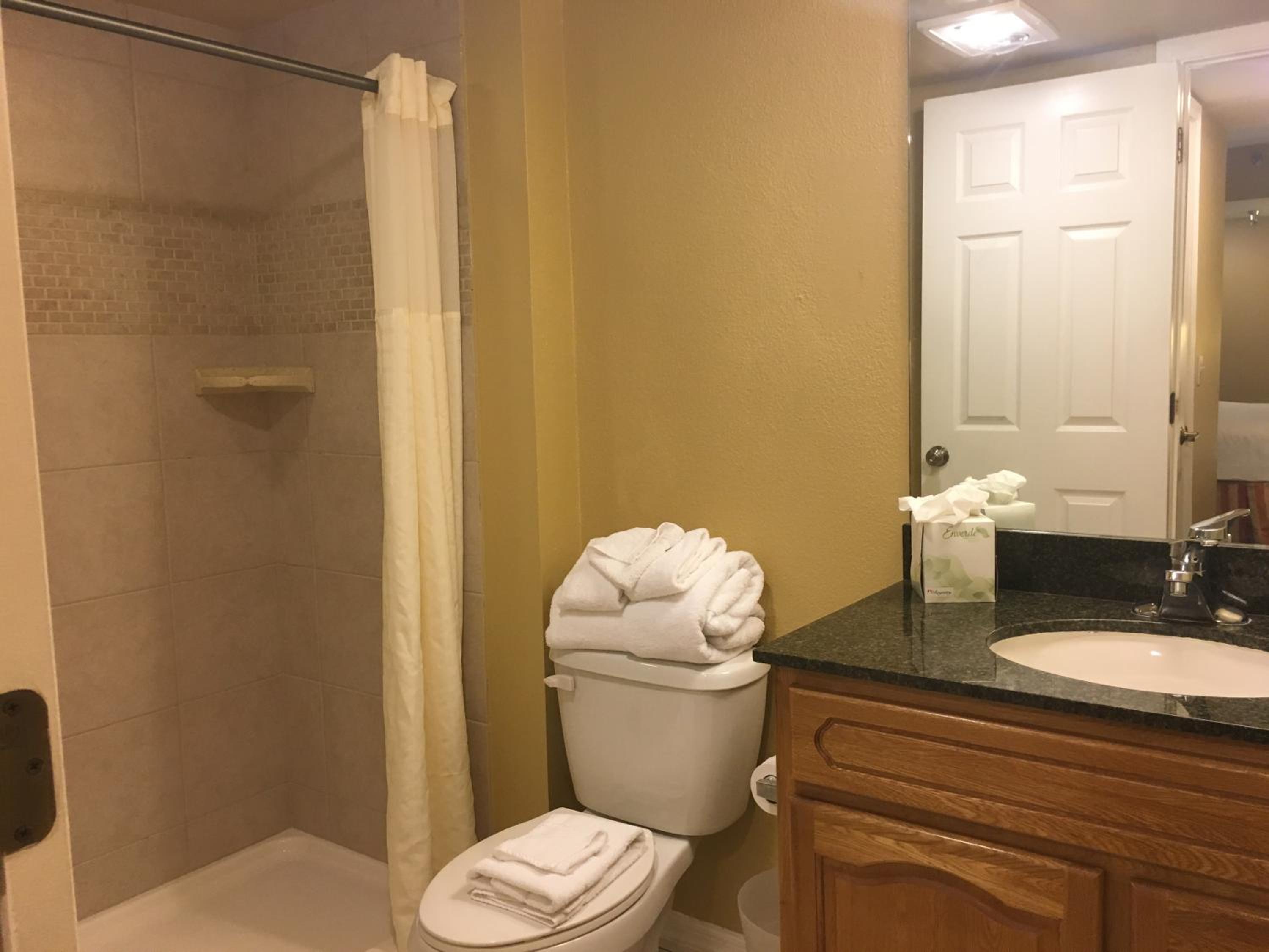 Studio Suite With Two Double Beds photo 2