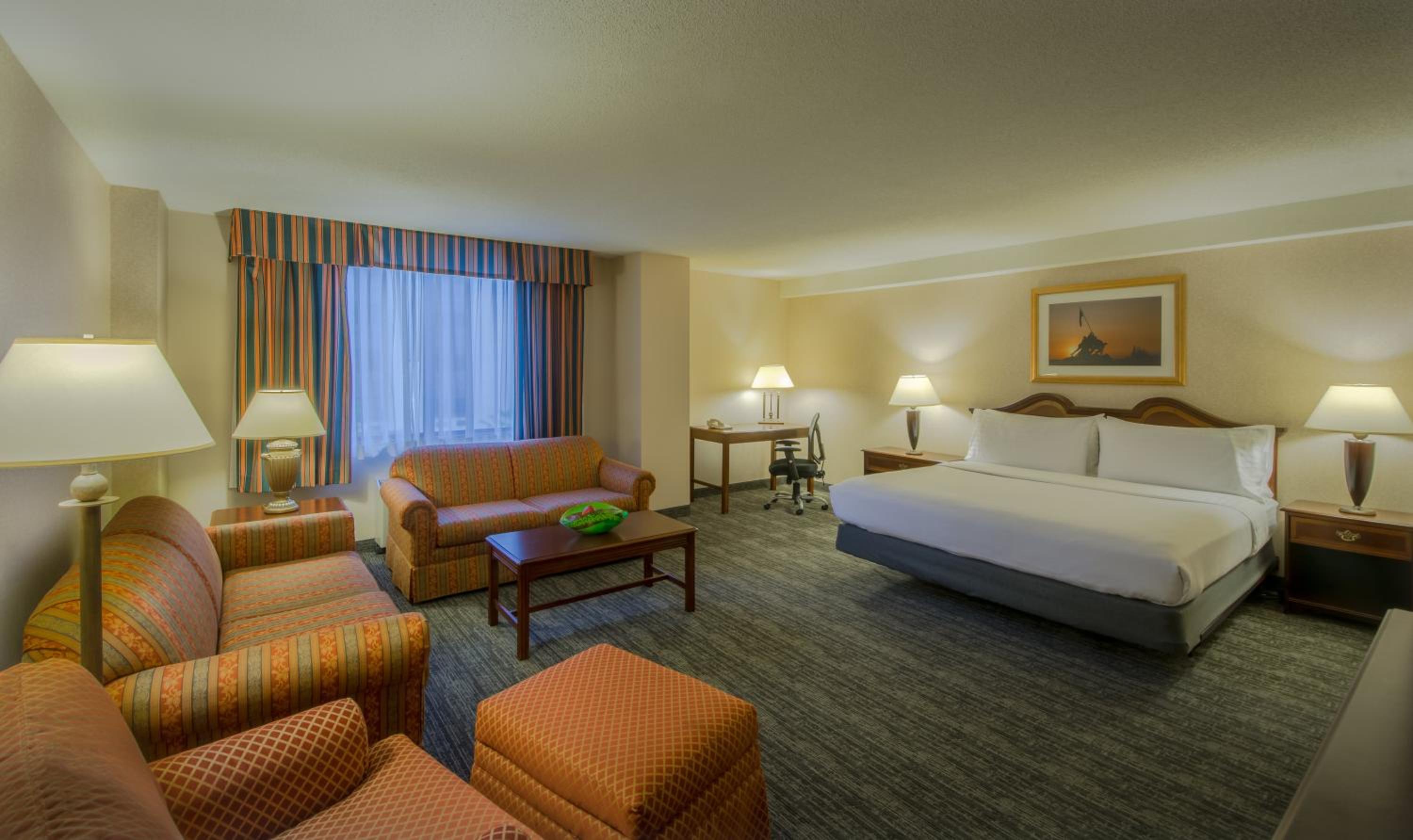 Premium King Room photo 1
