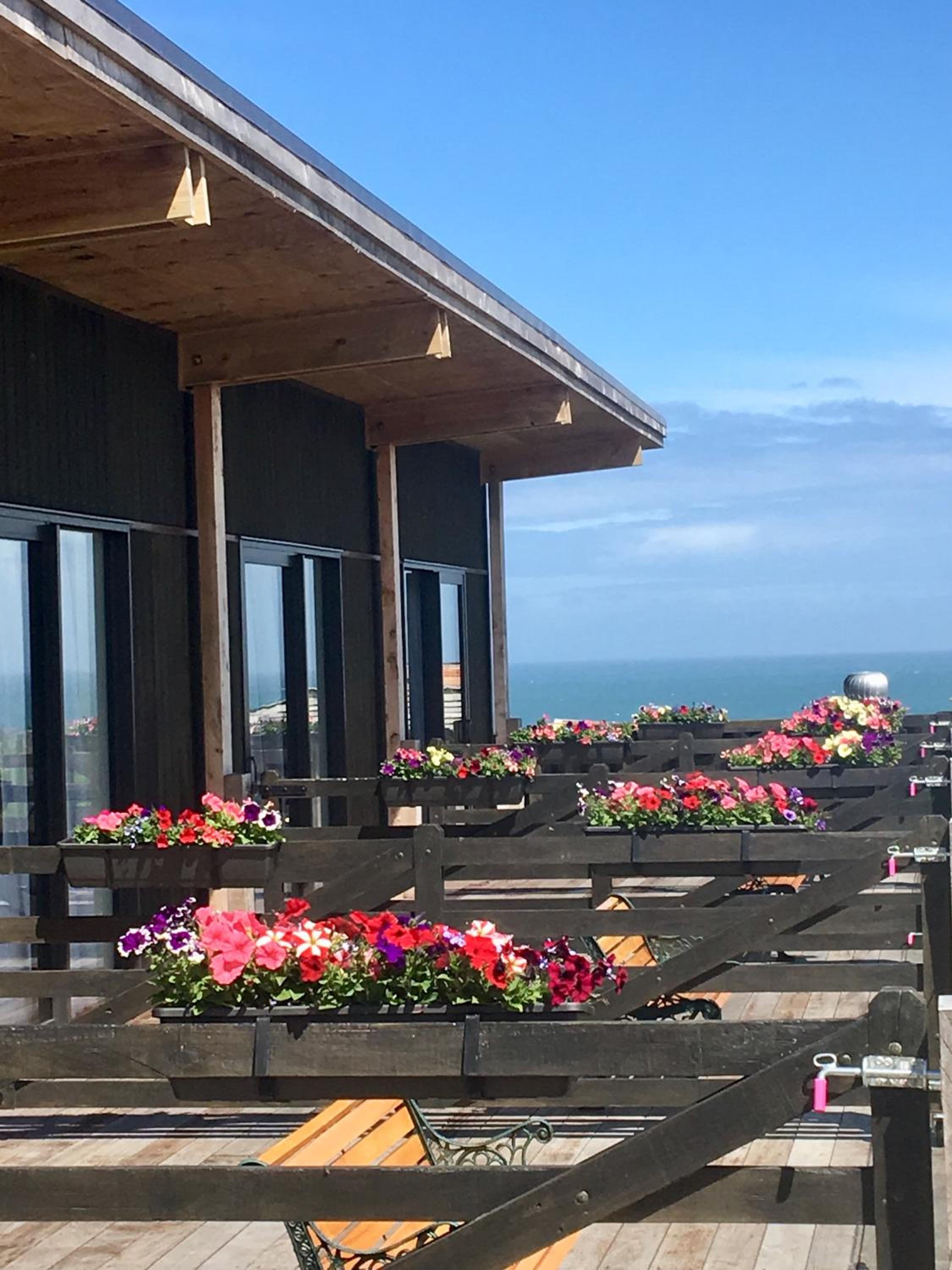 Deluxe Double or Twin Room with Ocean View photo 3