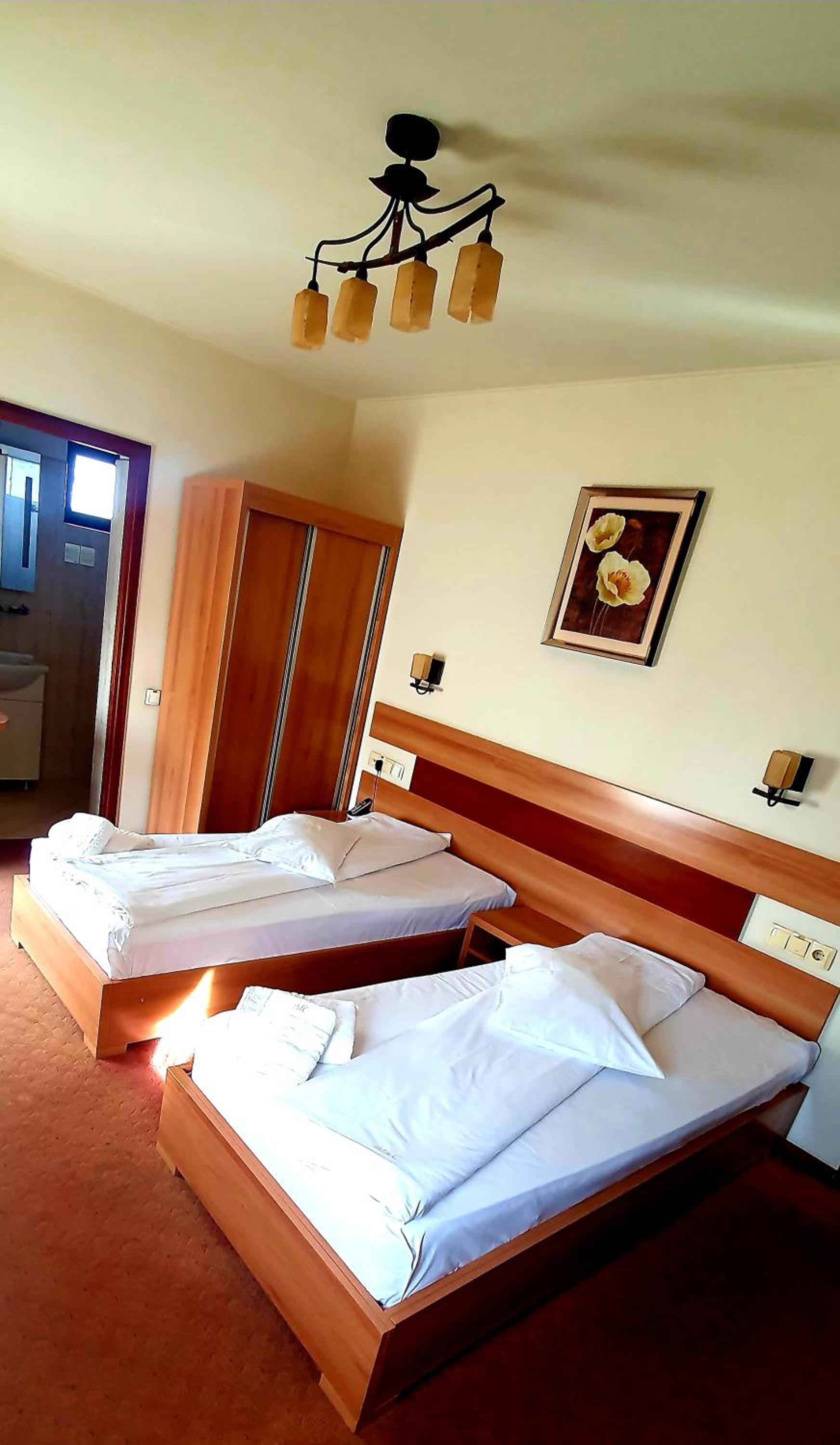 Twin Room photo 2