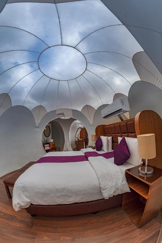 Bubble Suite King photo 1