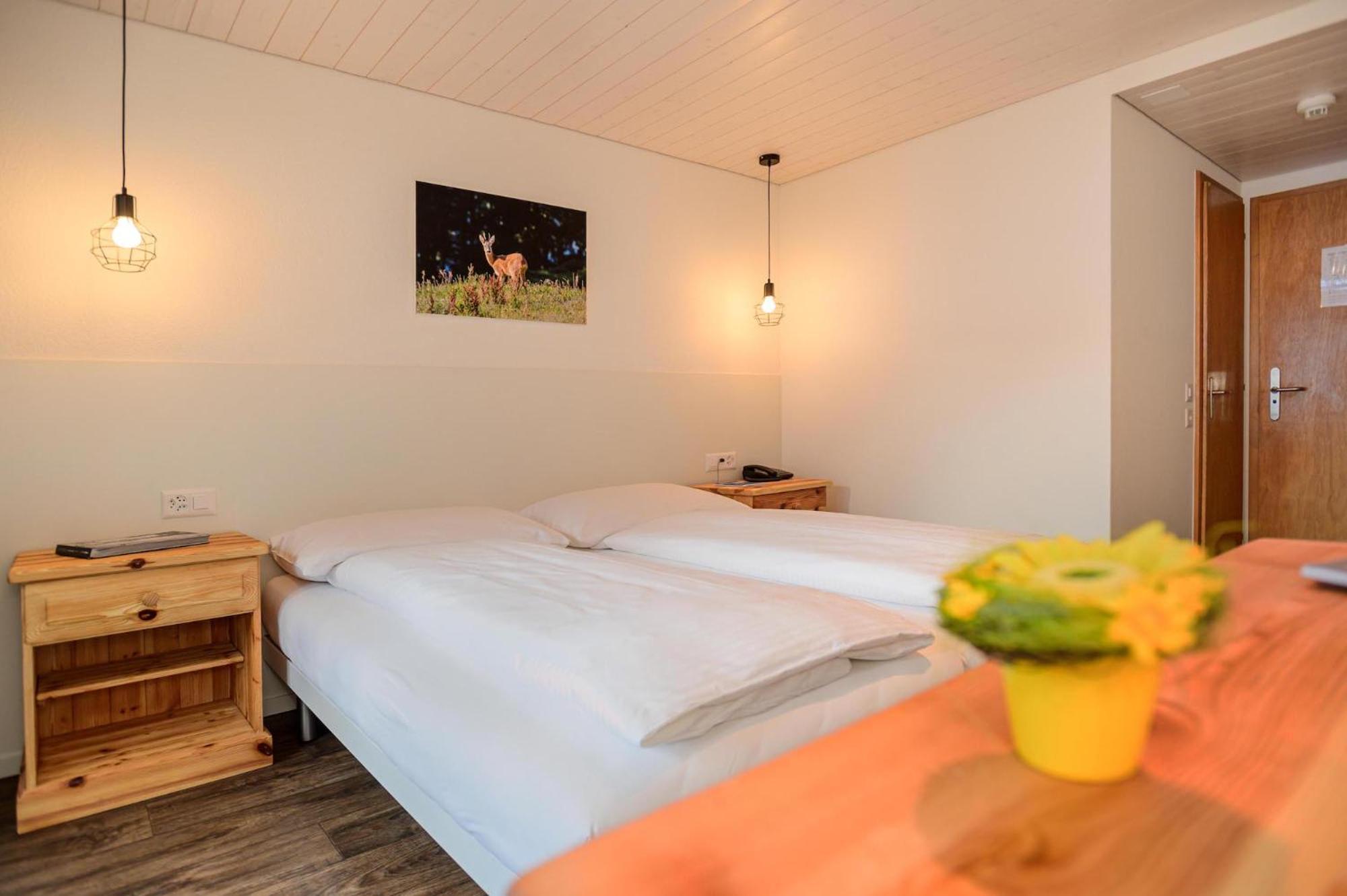 Double or Twin Room with Eiger View and Balcony photo 3