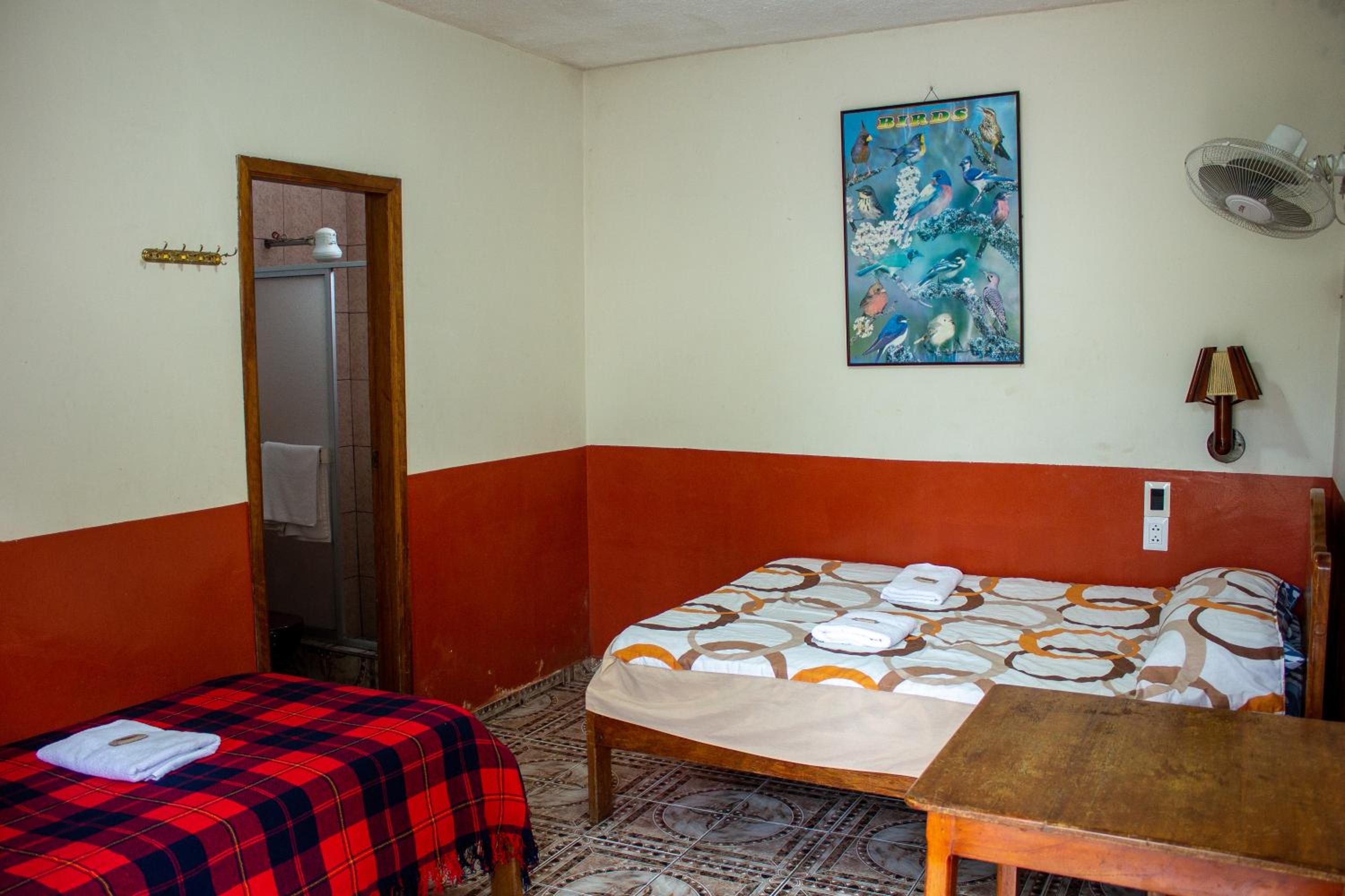 Double Room with Private Bathroom photo 3