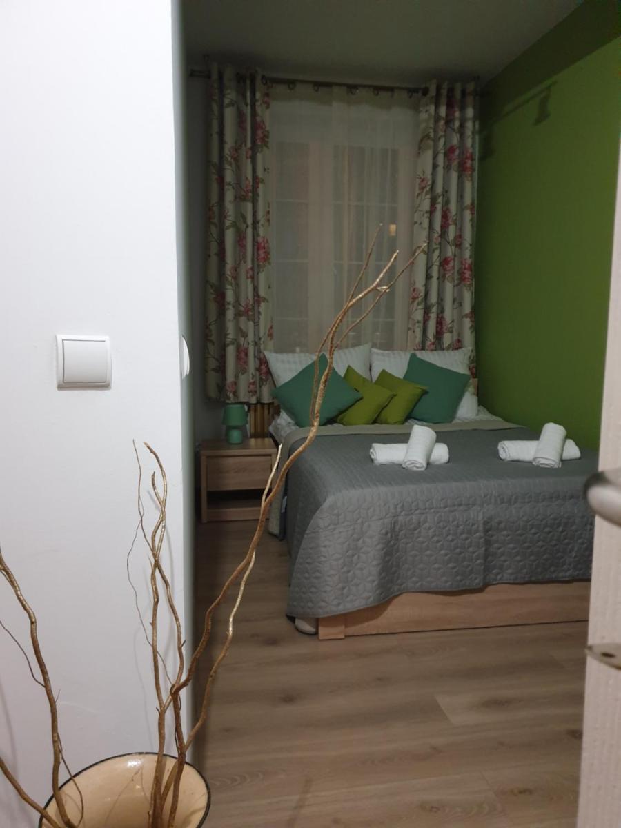 Apartment - Photo 5
