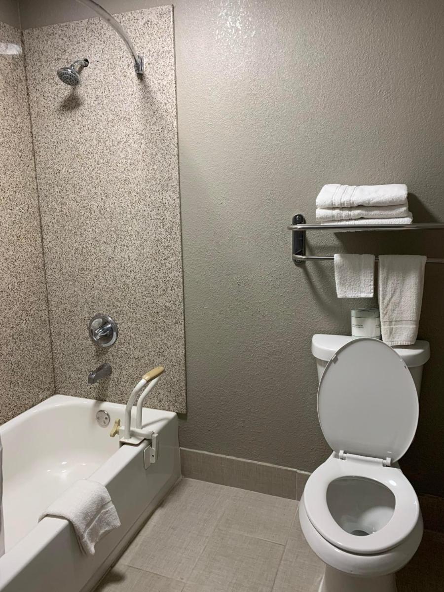 Double Room - Disability Access/Non-Smoking photo 3