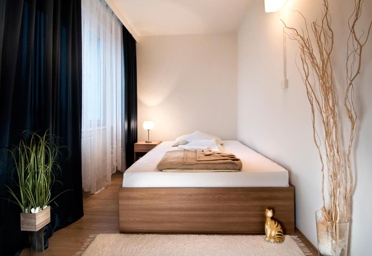 Standard Apartment - Photo 1