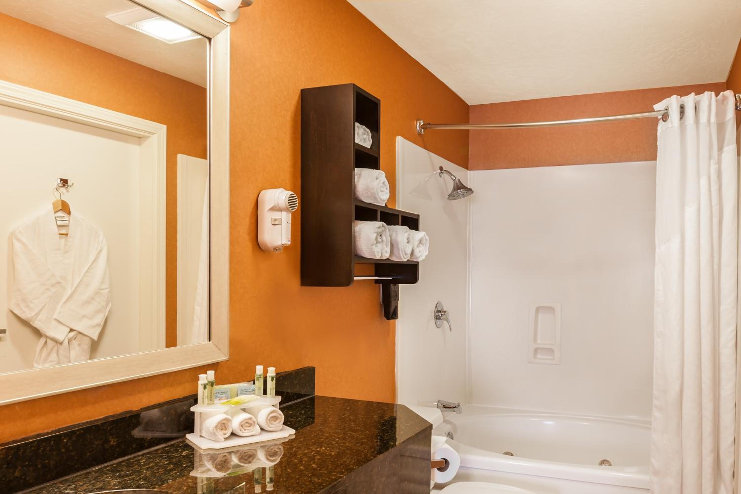One-Bedroom King Suite - Photo 4