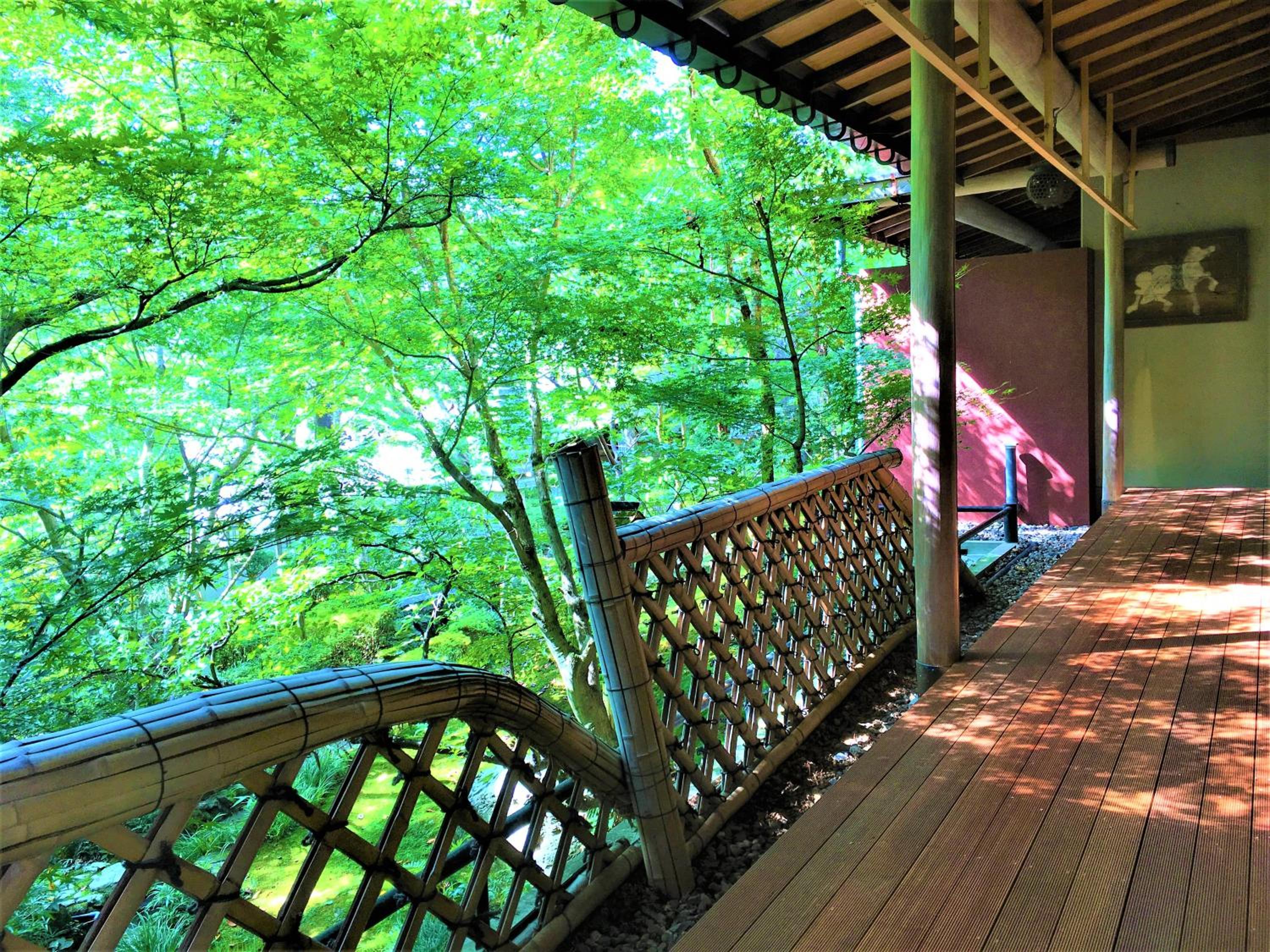 Japanese-Style Family Room with Terrace