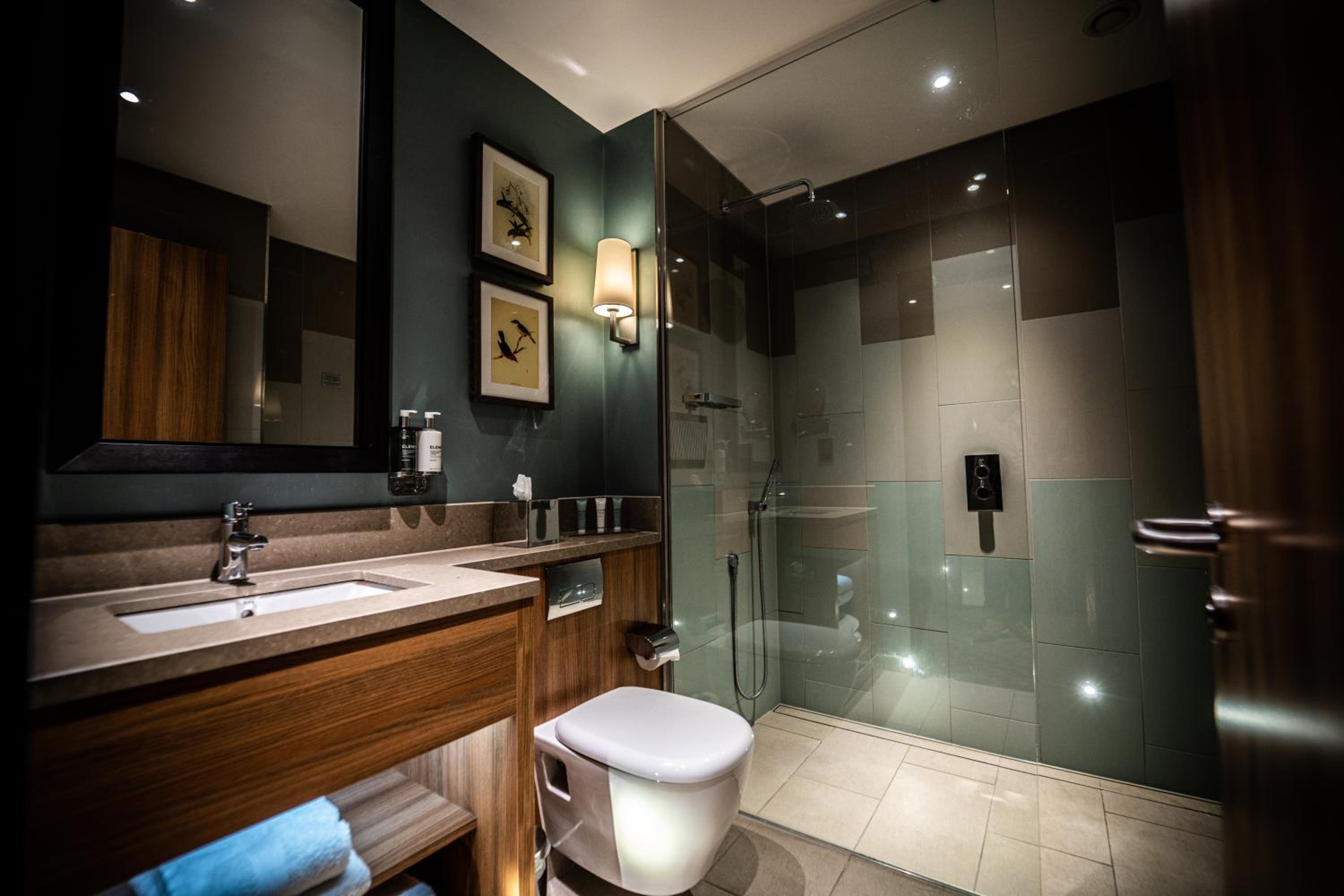 Deluxe Double Room photo 2