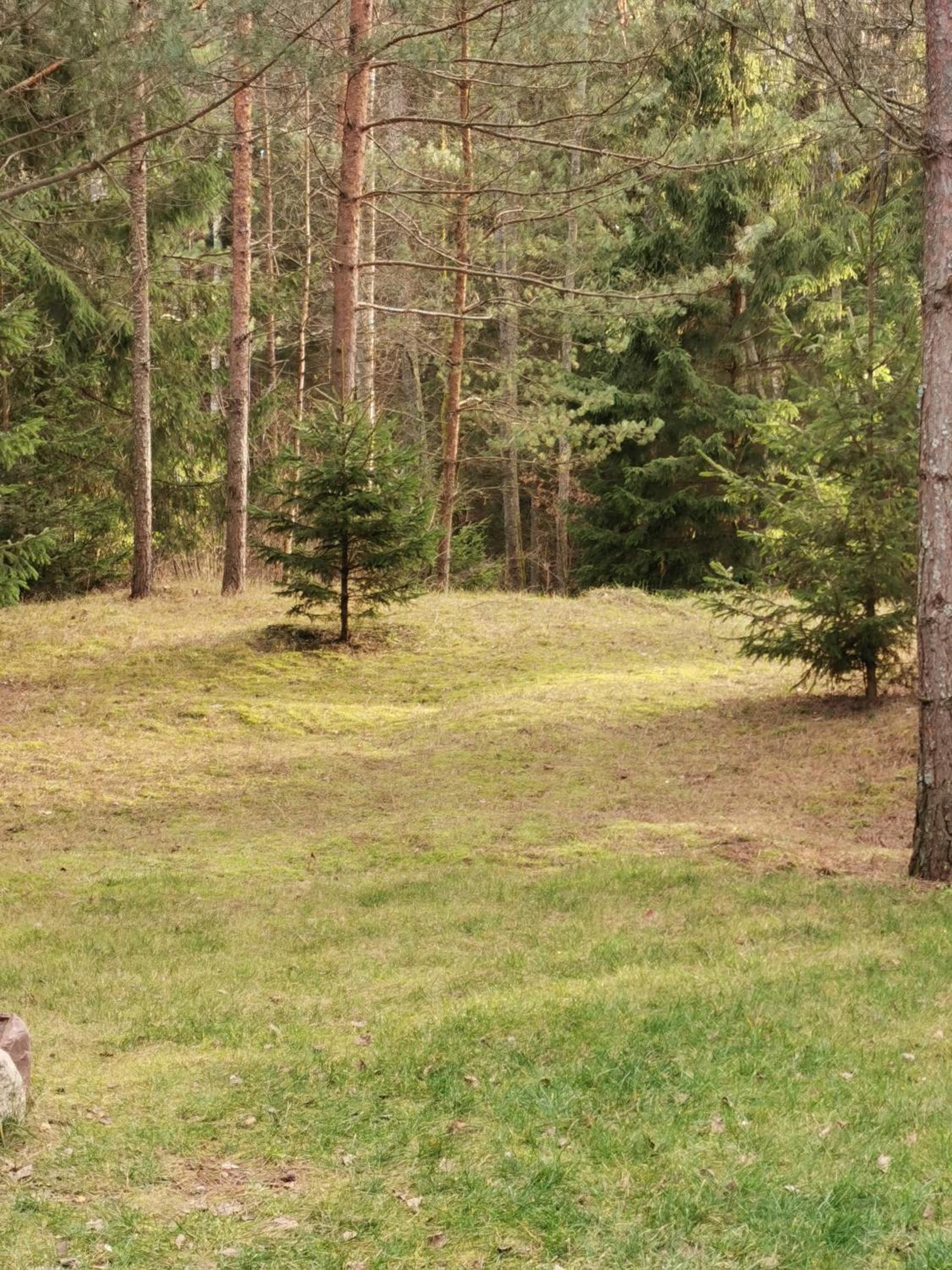 Vacation Home - Photo 3