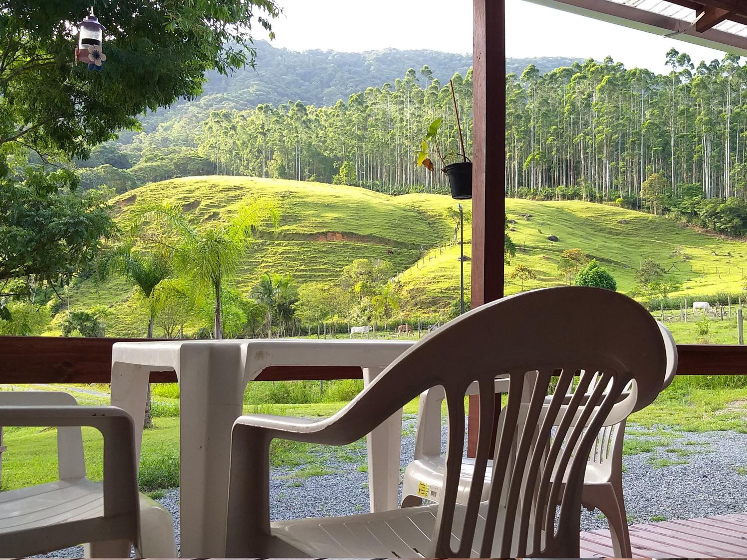 Family Bungalow - Photo 10