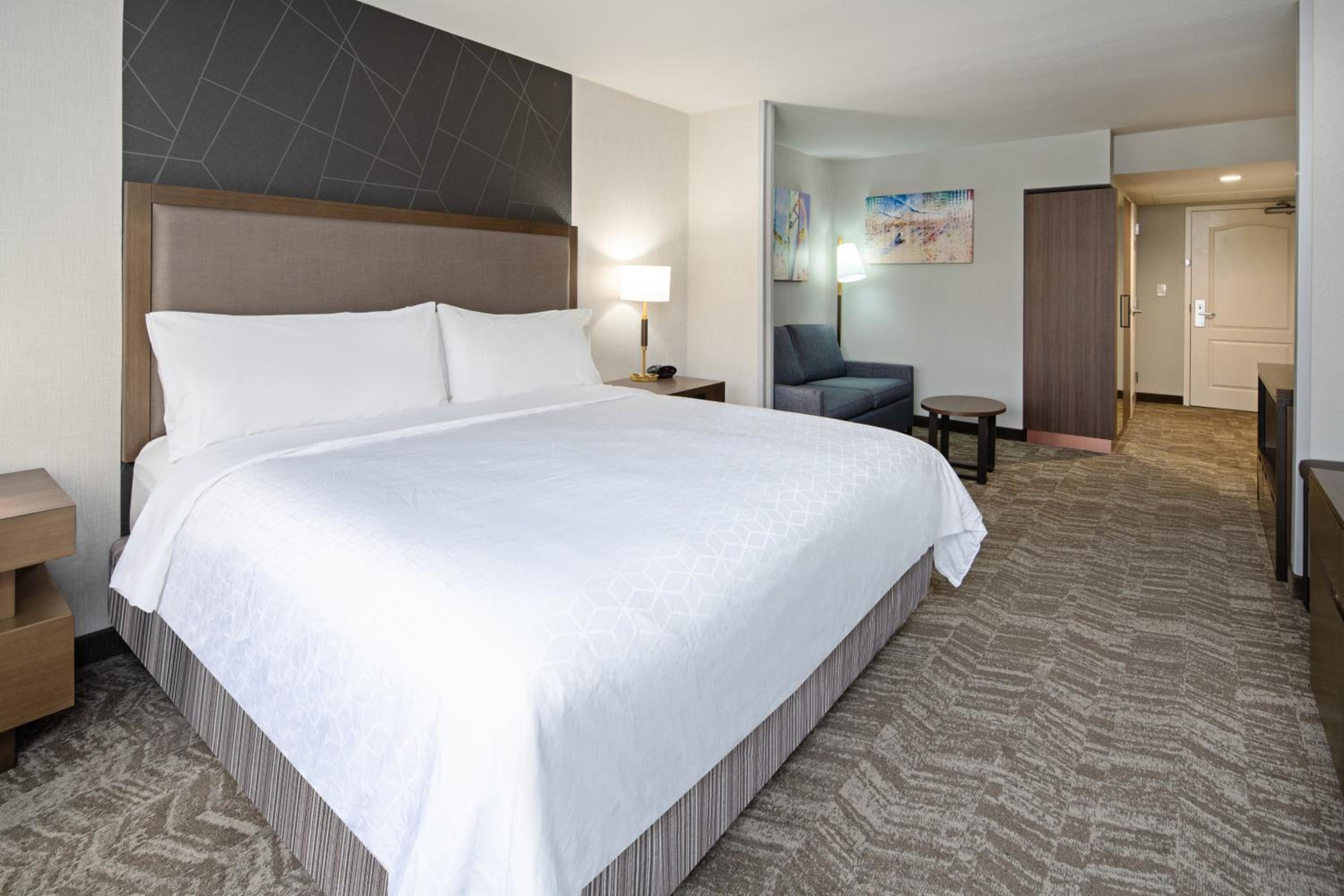 King Suite with Sofa Bed - Photo 4