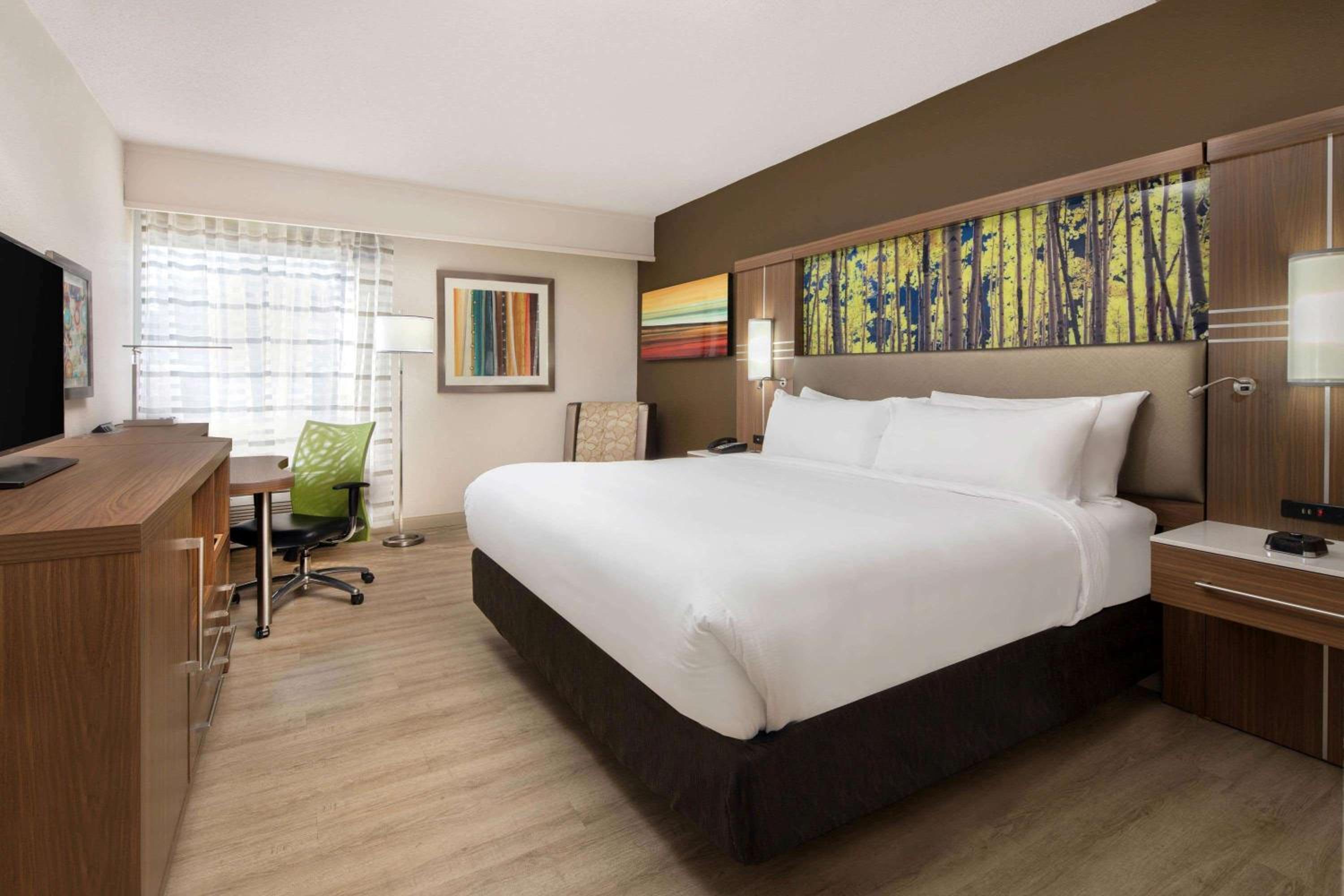 1 King Bed, Non-Smoking. - Photo 1