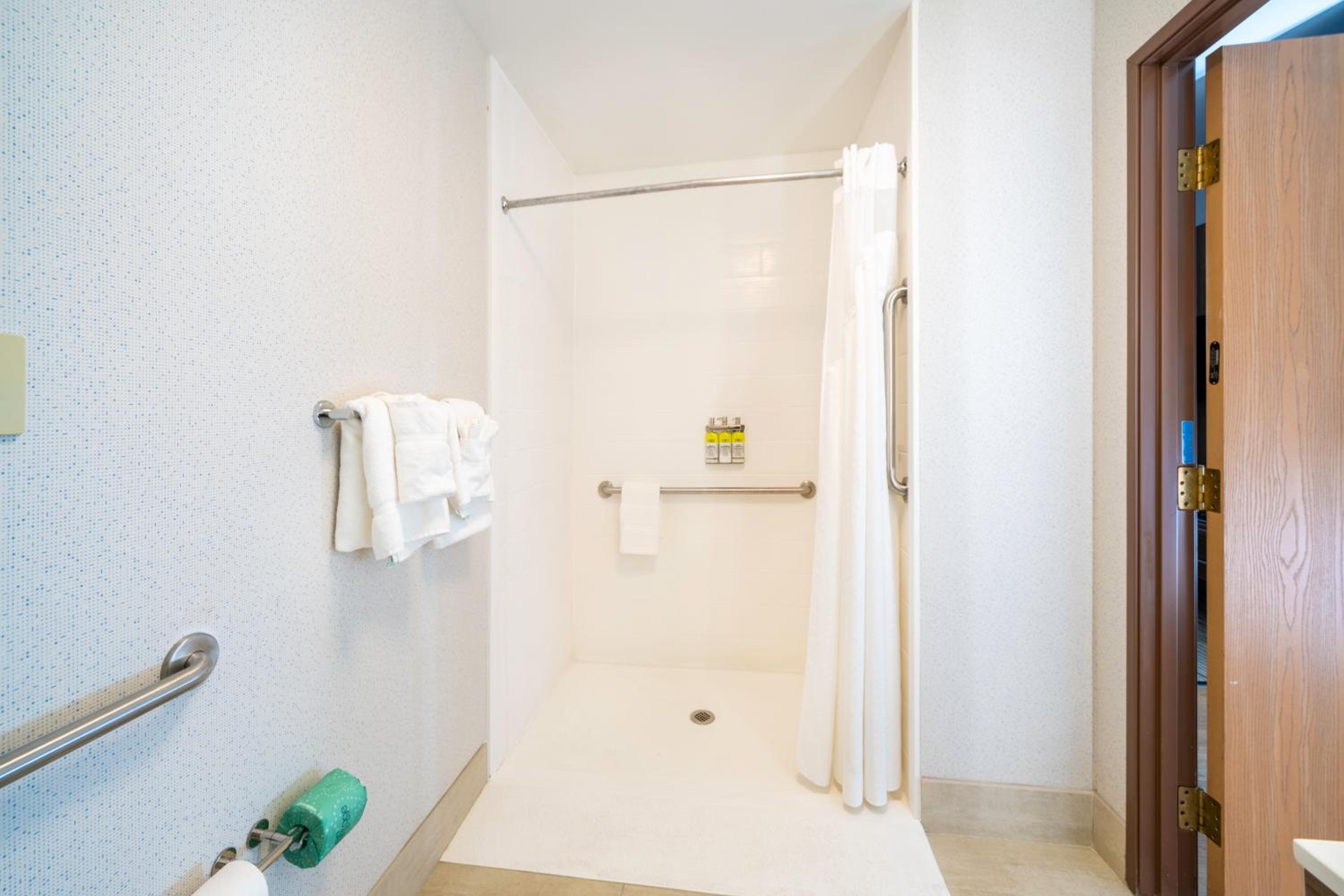 King Room with Roll-In Shower - Disability Access - Photo 7