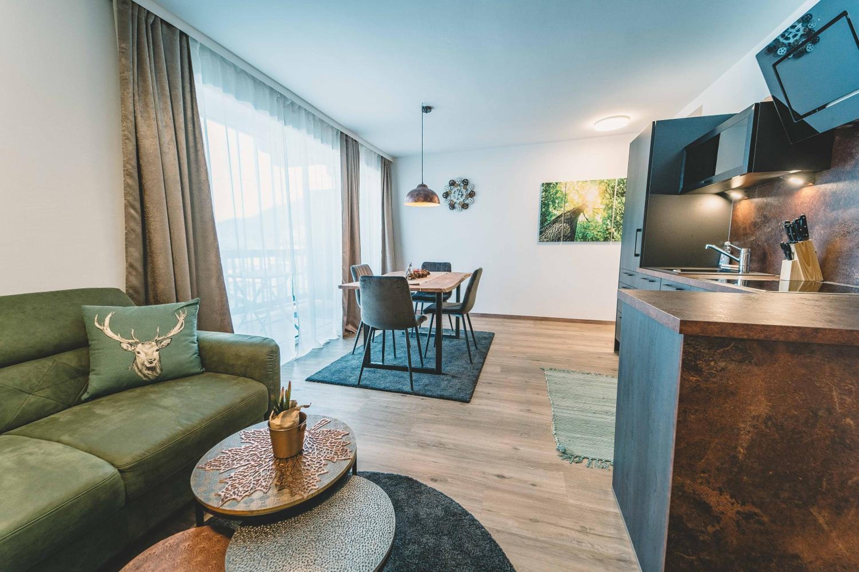 Panorama Apartment with Balcony and Mountain View photo 3
