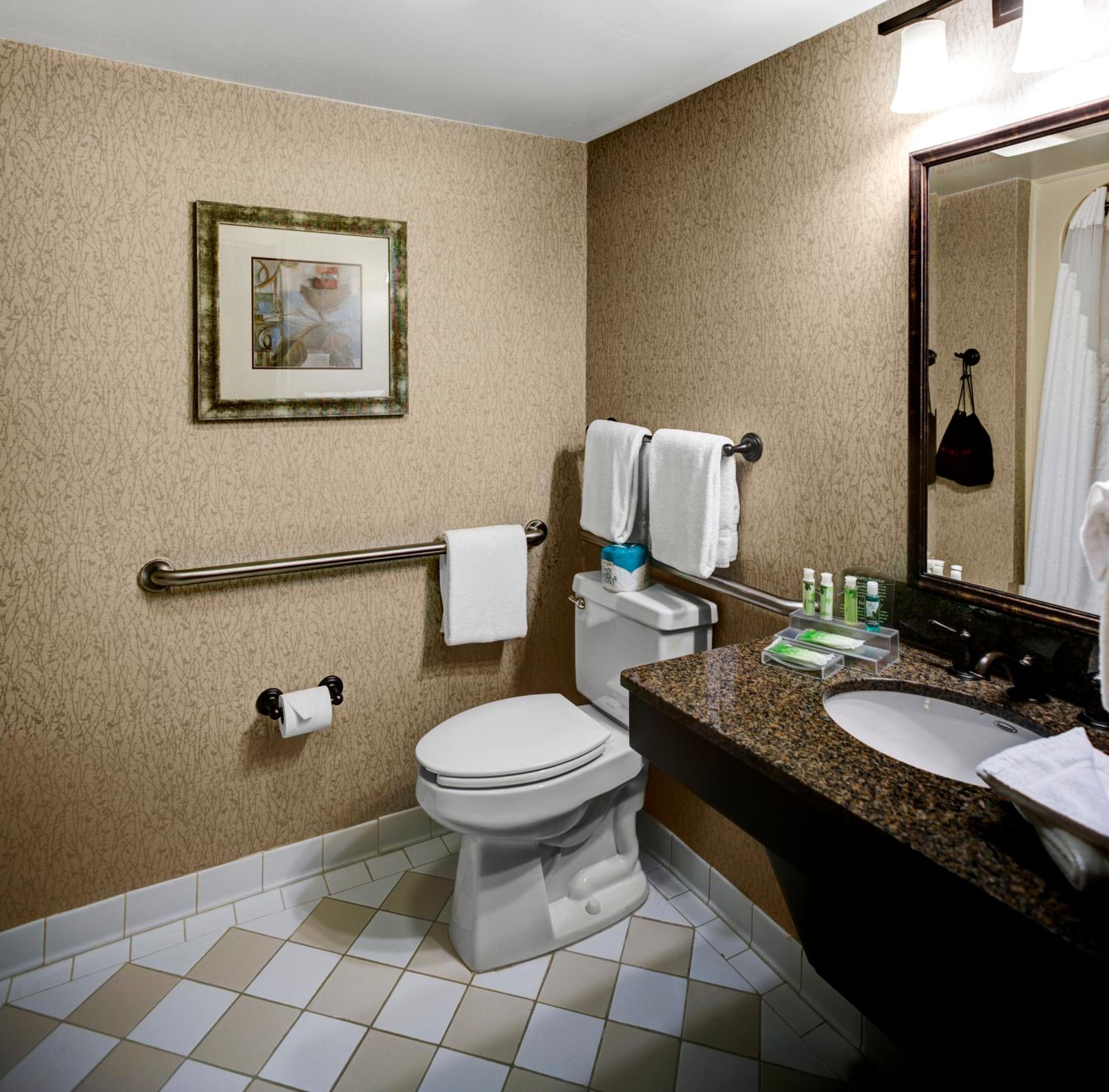King Room - Mobility Access/Hearing Accessible - Photo 2