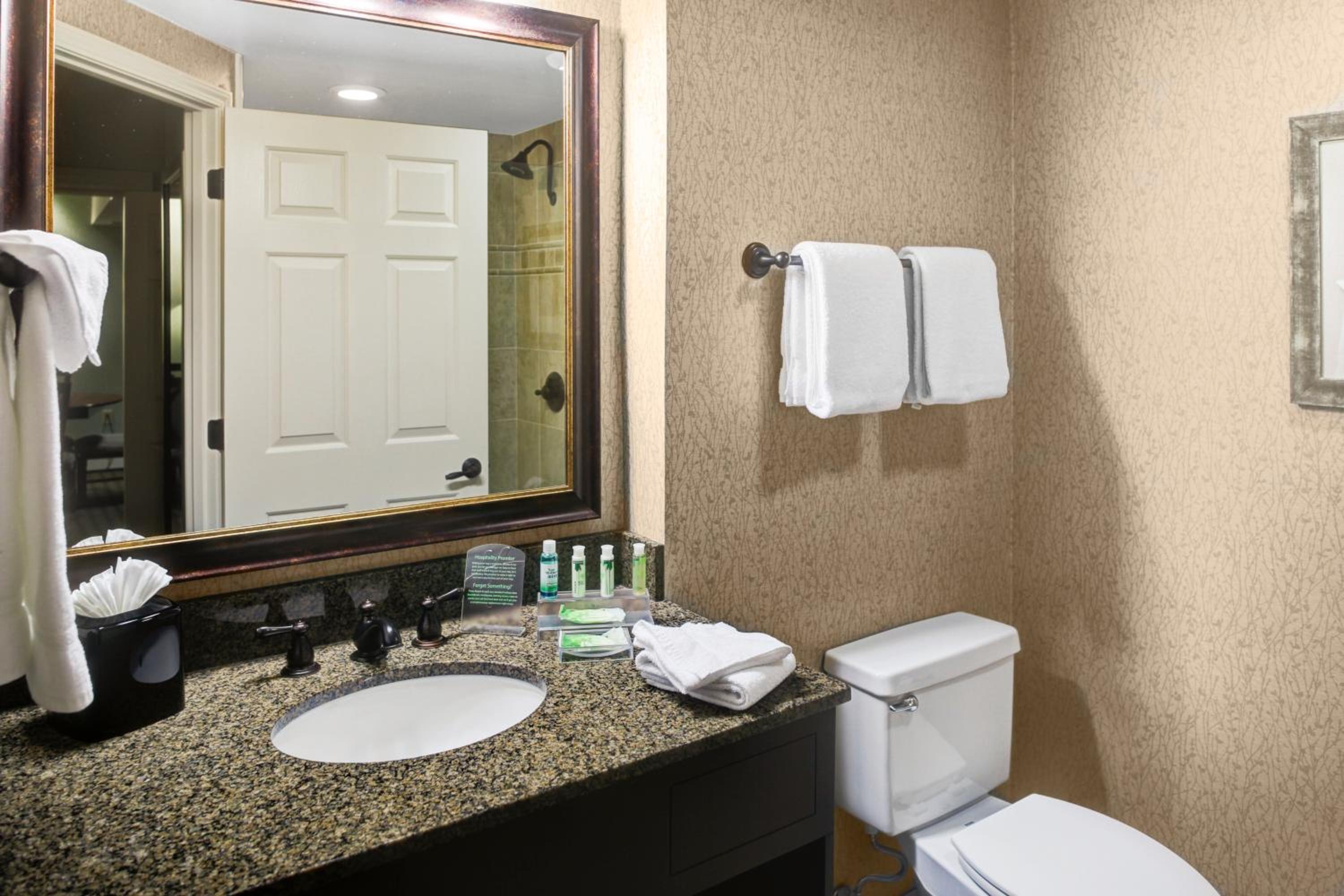 King Suite - Photo 3