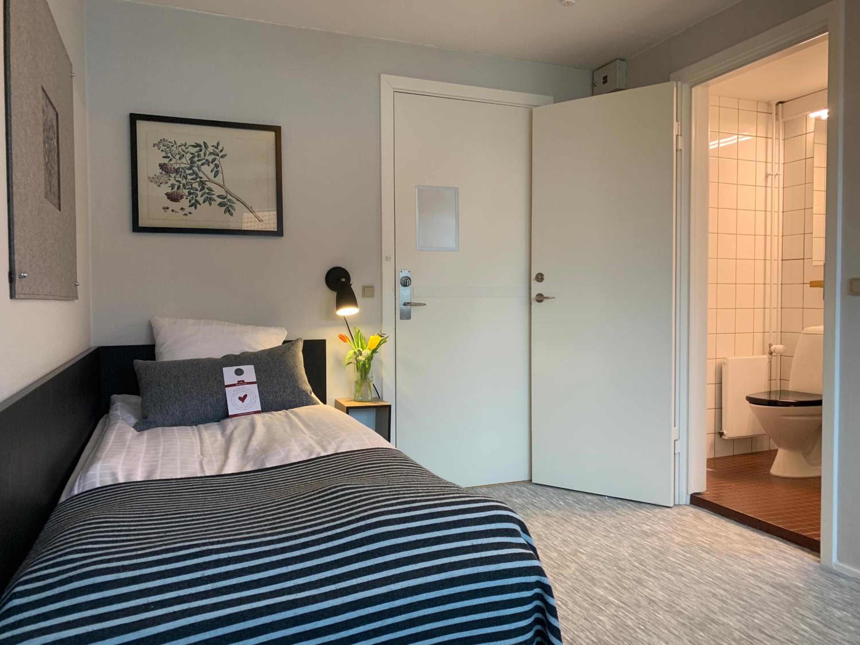 Single Room photo 1