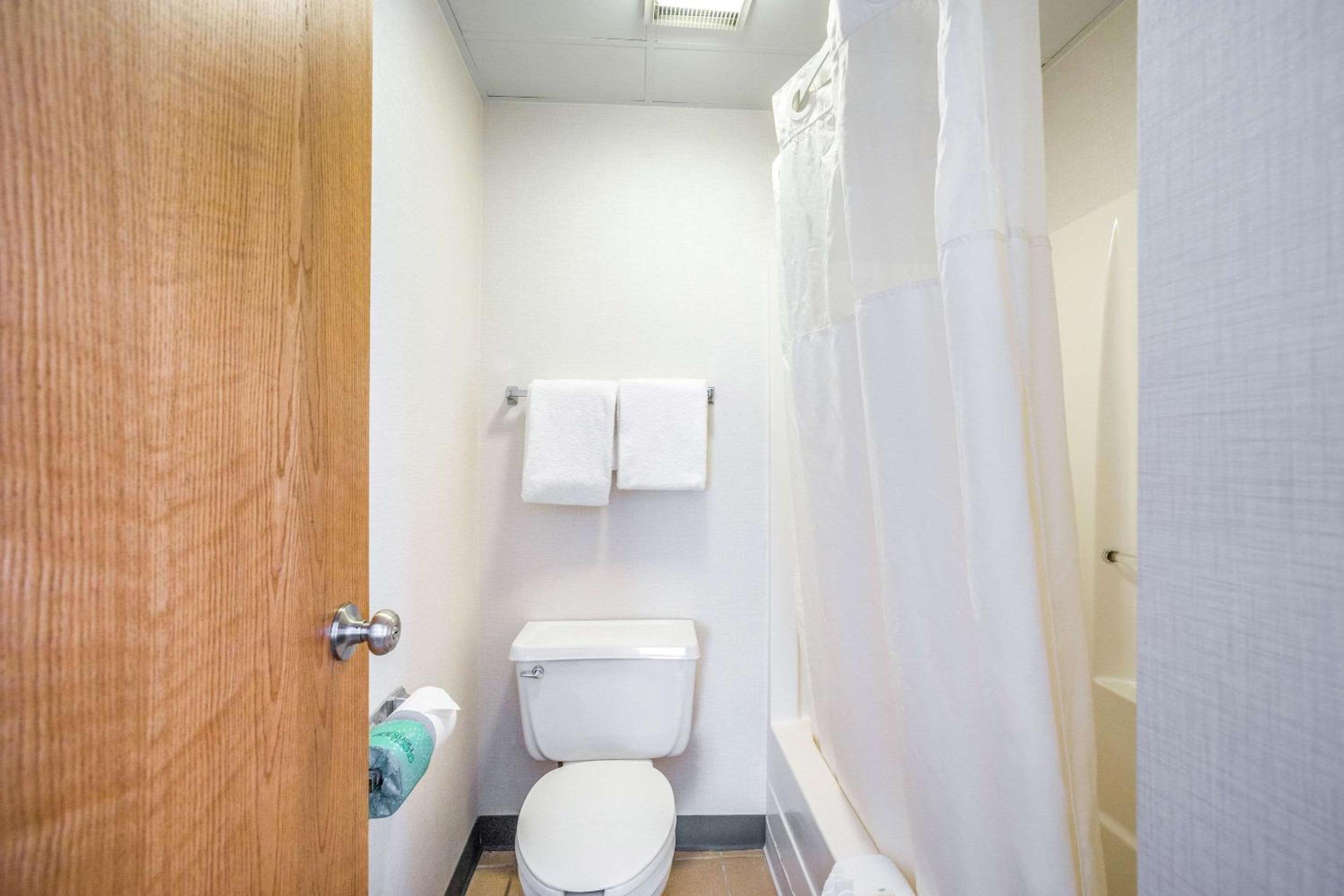Double Suite - Photo 4
