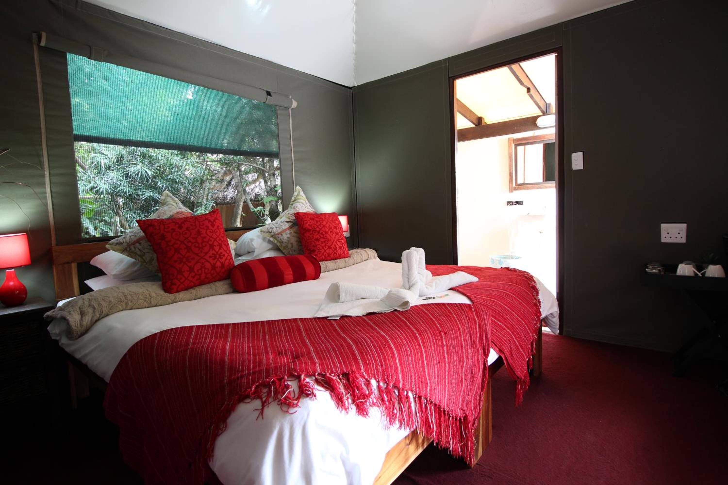 King Room photo 1