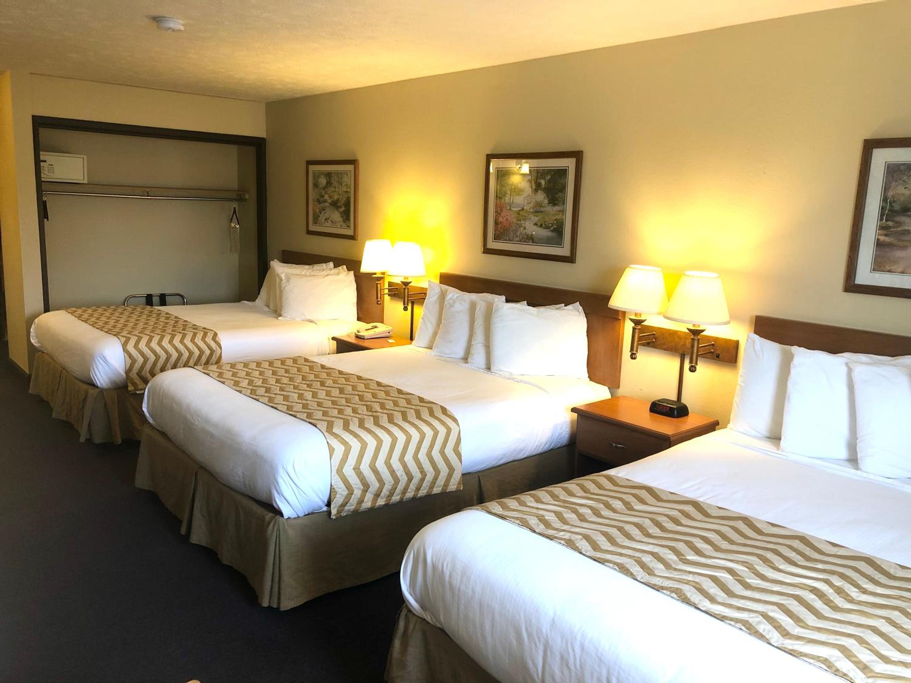 Suite - Photo 3