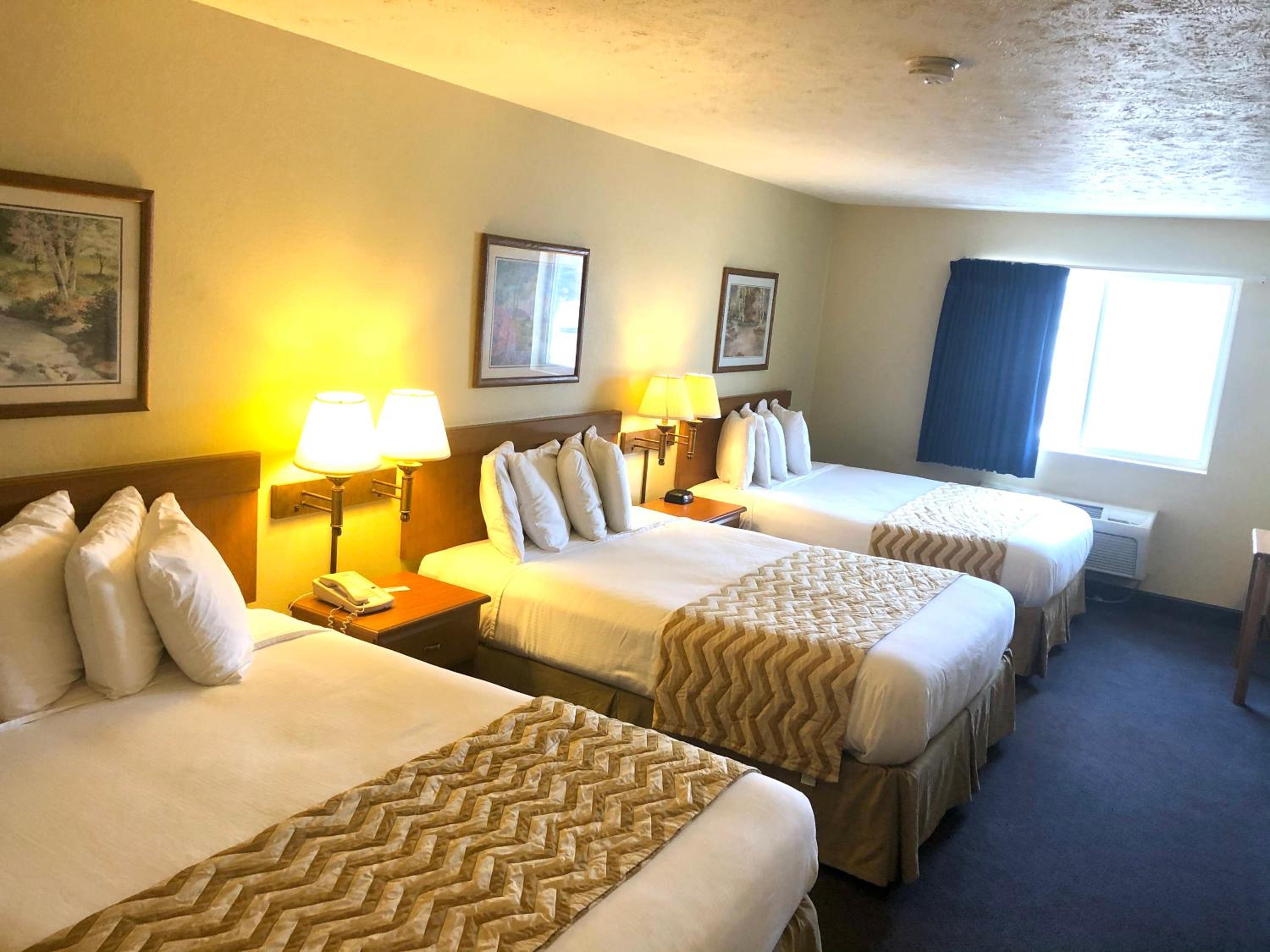 Suite - Photo 5