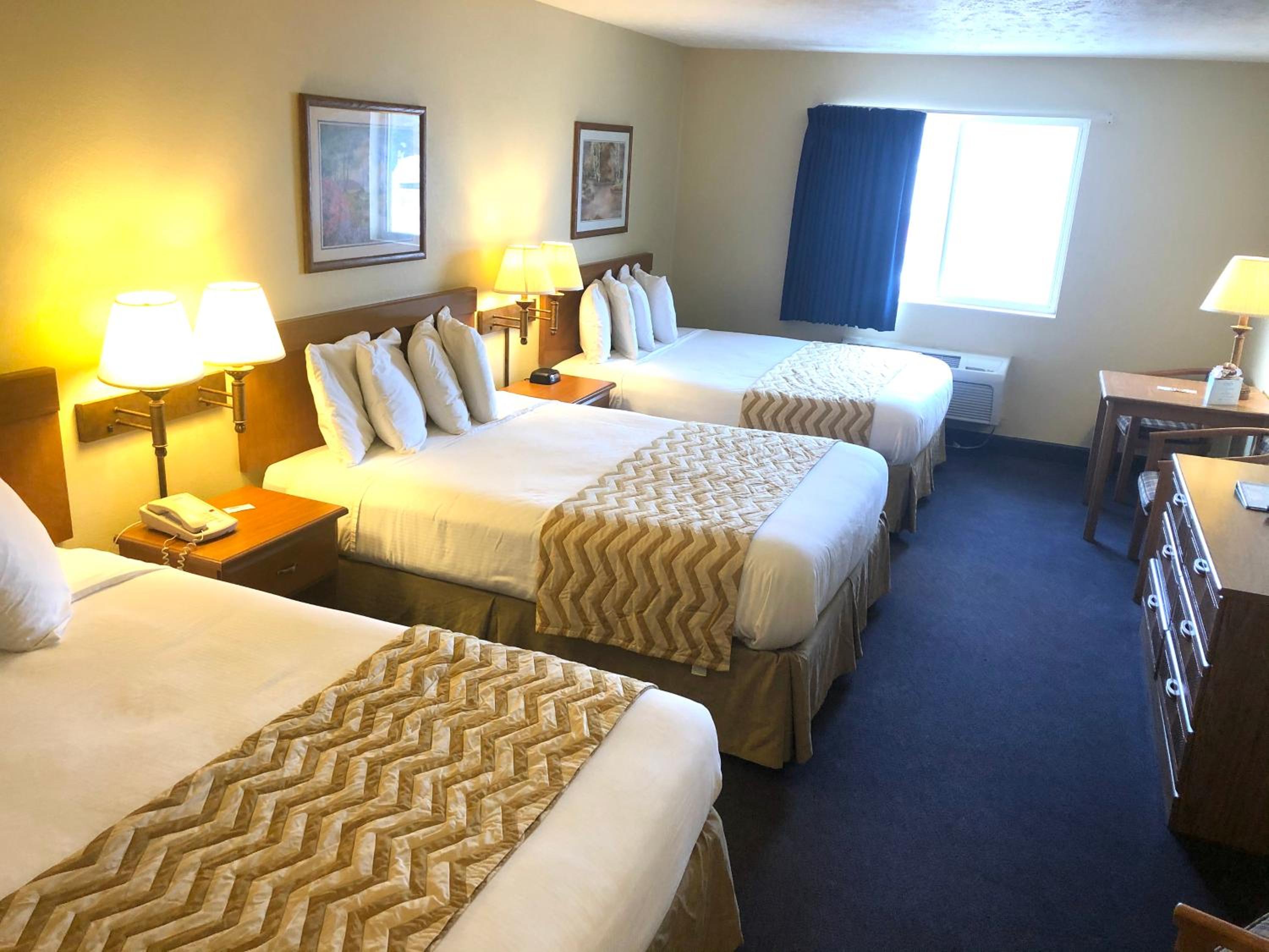 Suite - Photo 1