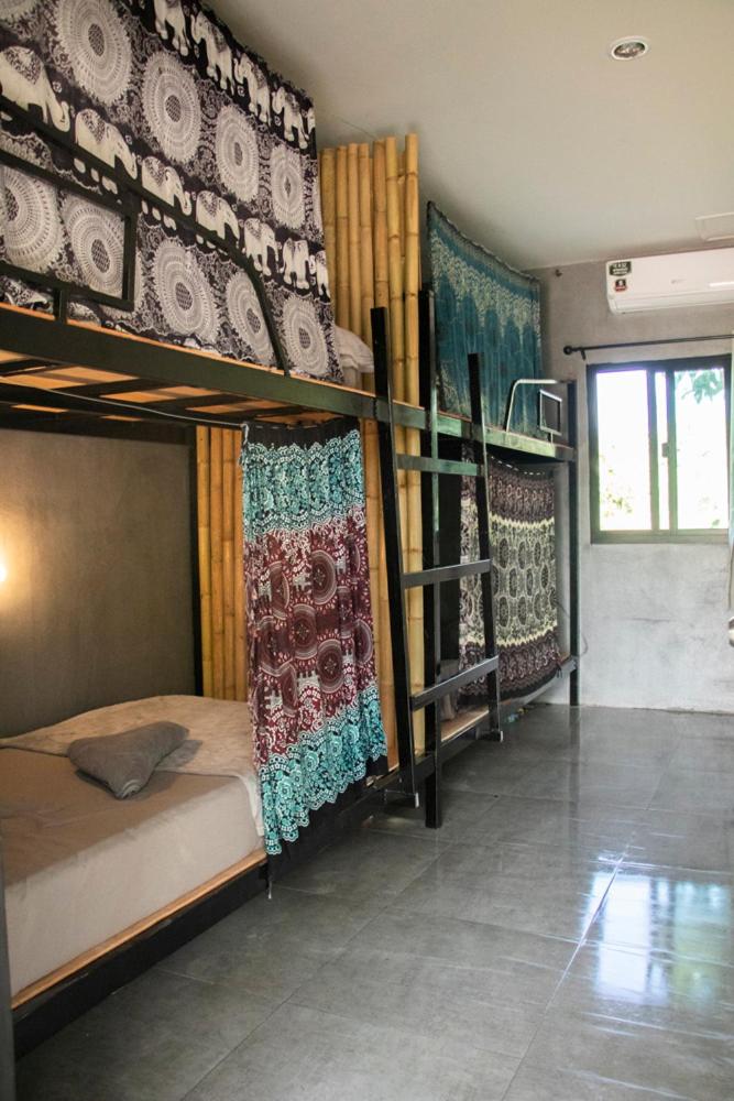 Bed in 4-Bed Mixed Dormitory Room photo 1