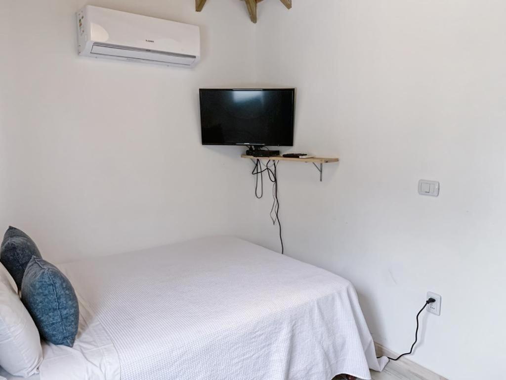 Duplex Apartment photo 1