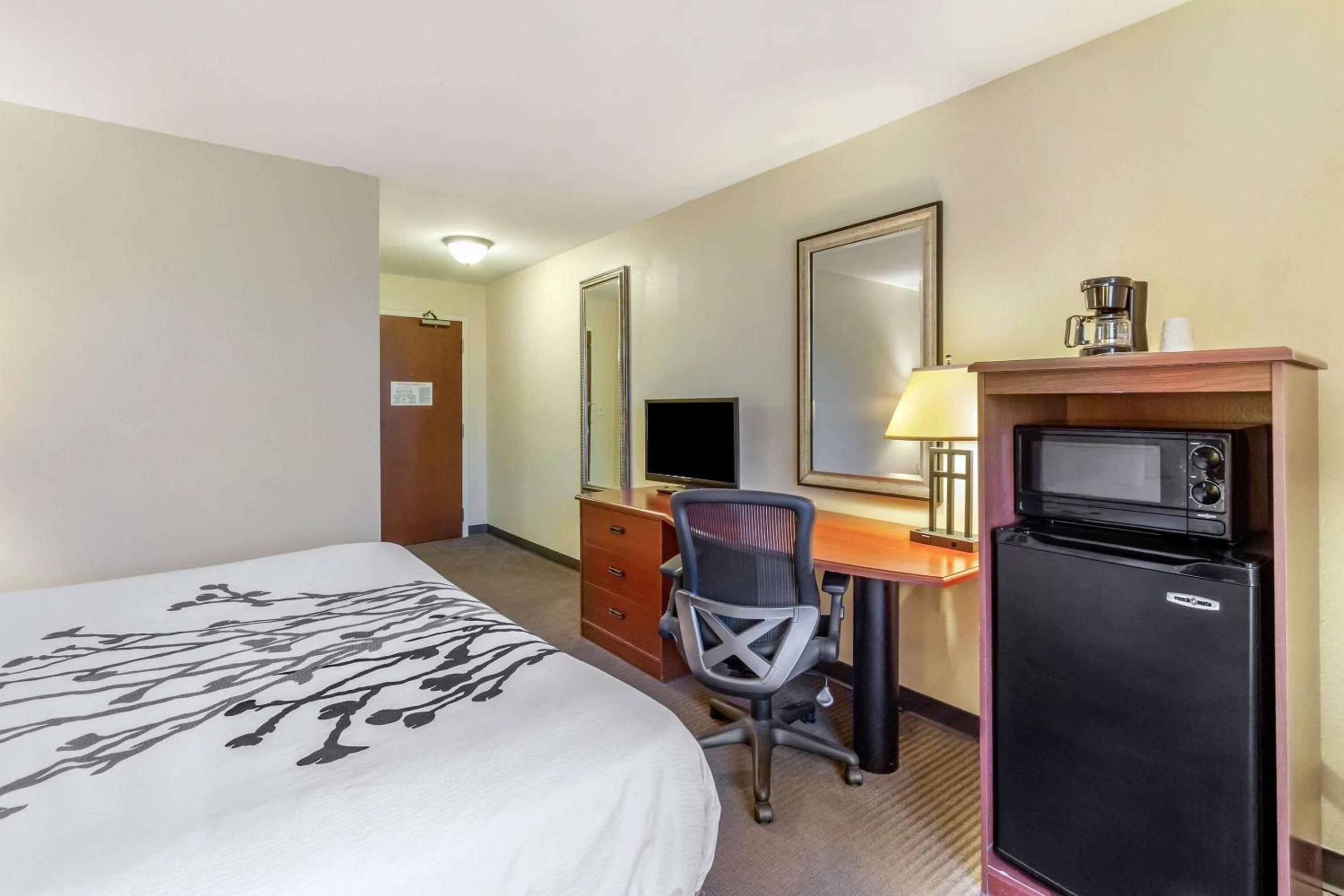 King Room - Non-Smoking - Photo 6