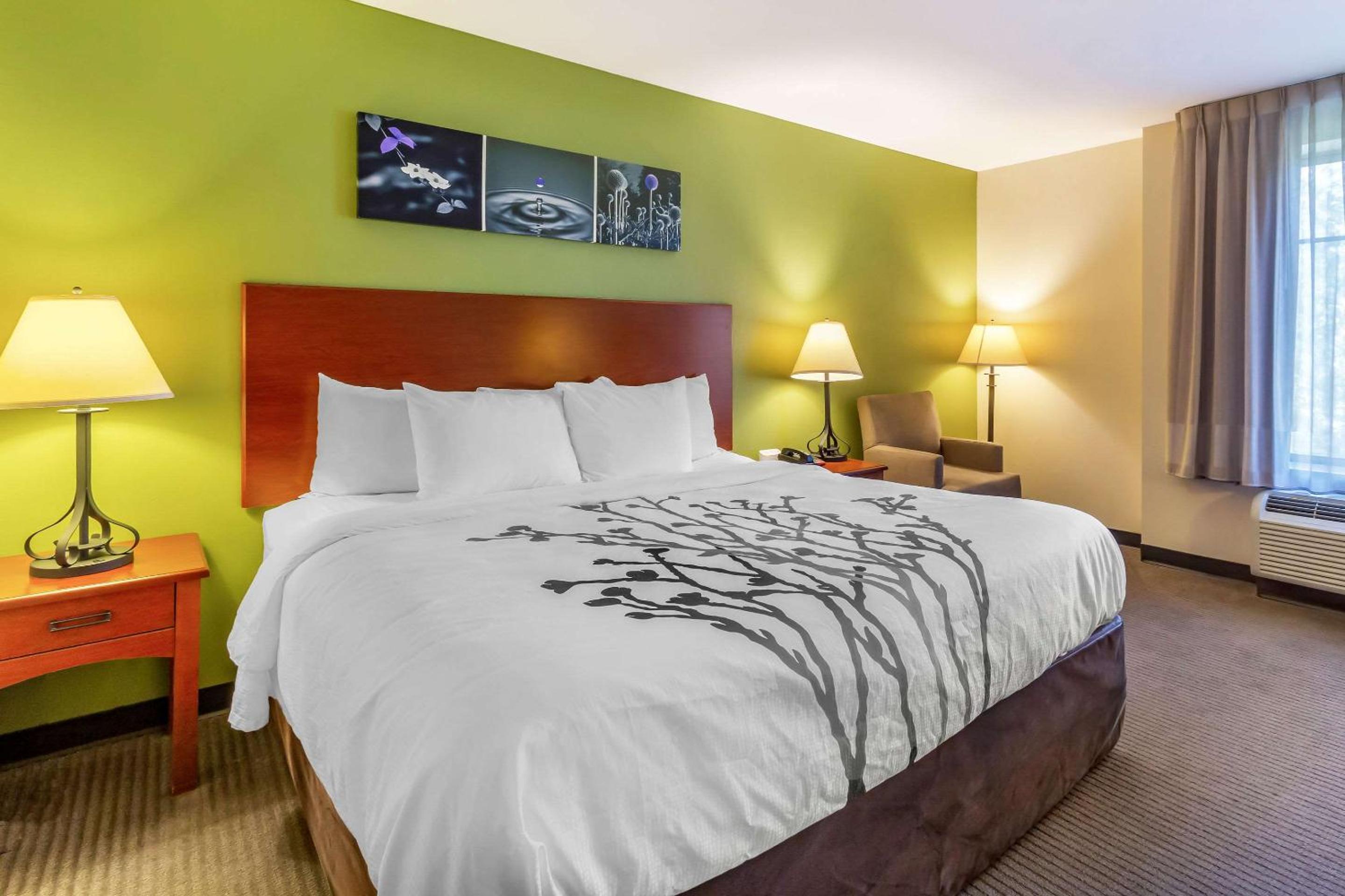 King Room - Non-Smoking - Photo 2