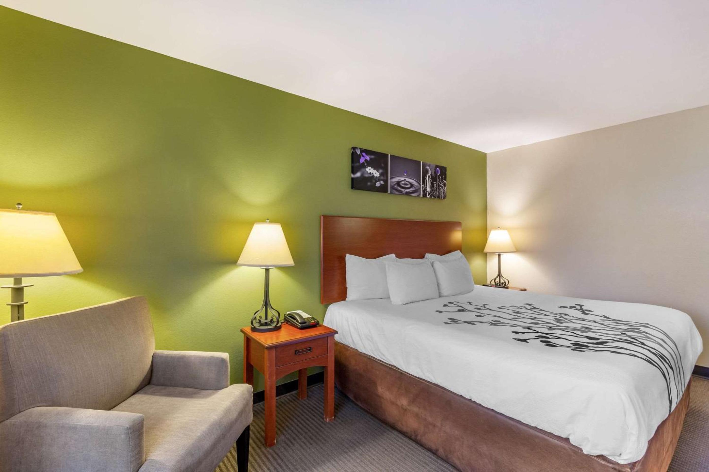 King Room - Non-Smoking - Photo 5