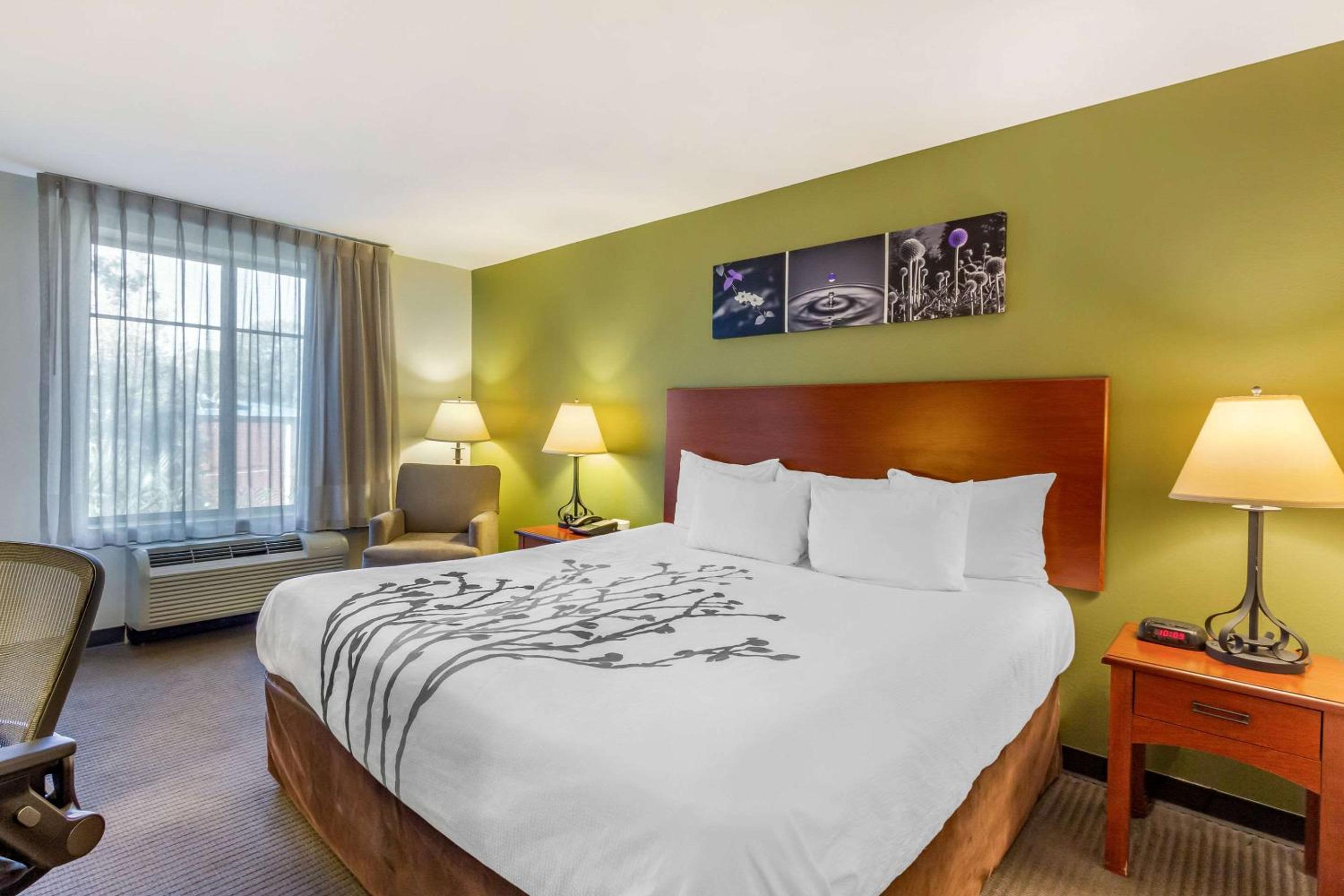 King Room - Non-Smoking - Photo 1