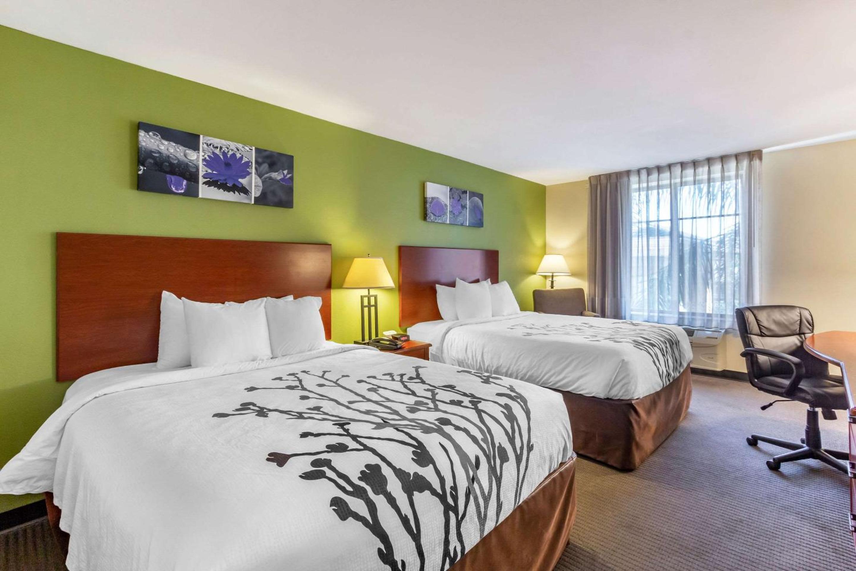Queen Room with Two Queen Beds - Non-Smoking - Photo 2
