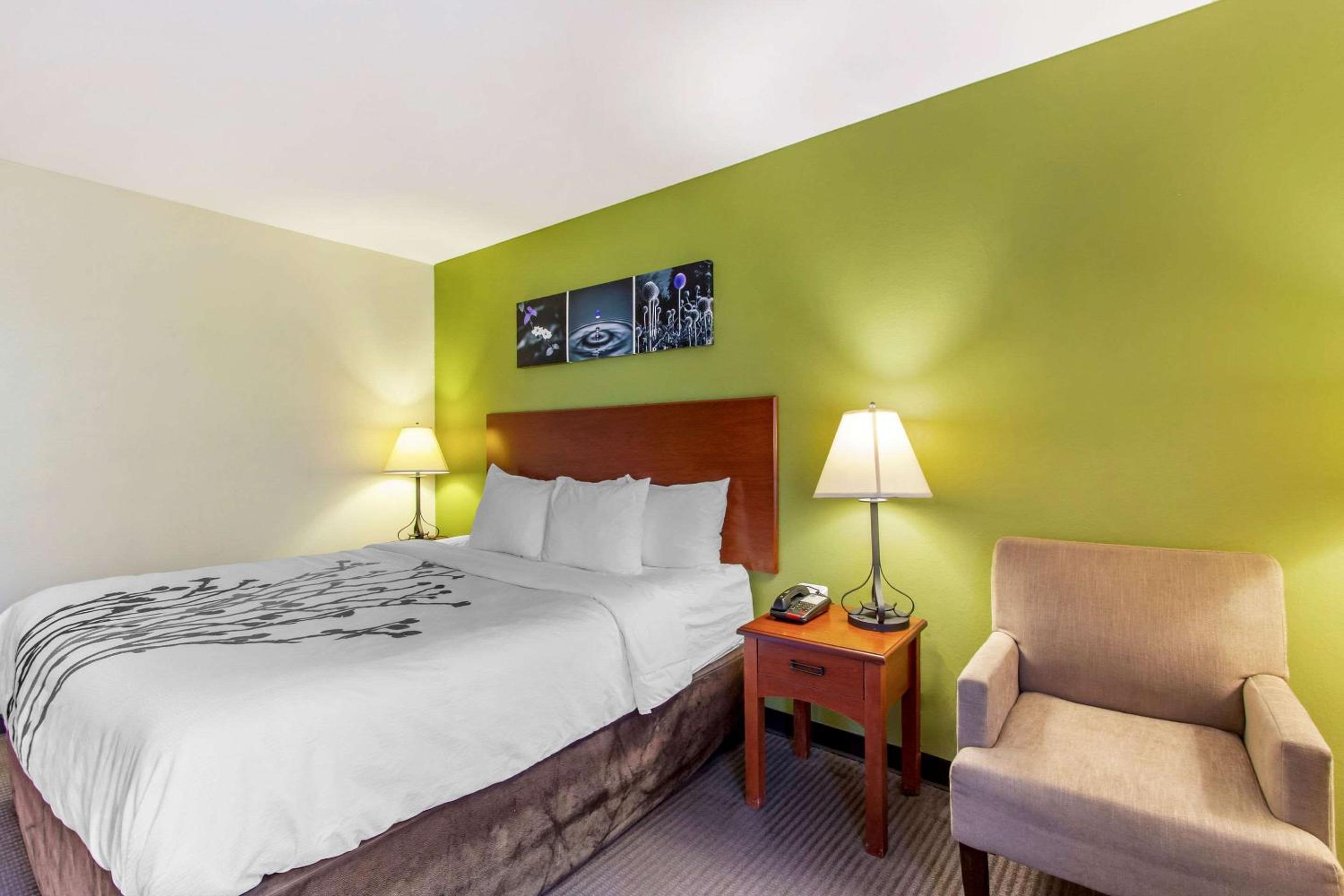King Room - Non-Smoking - Photo 4