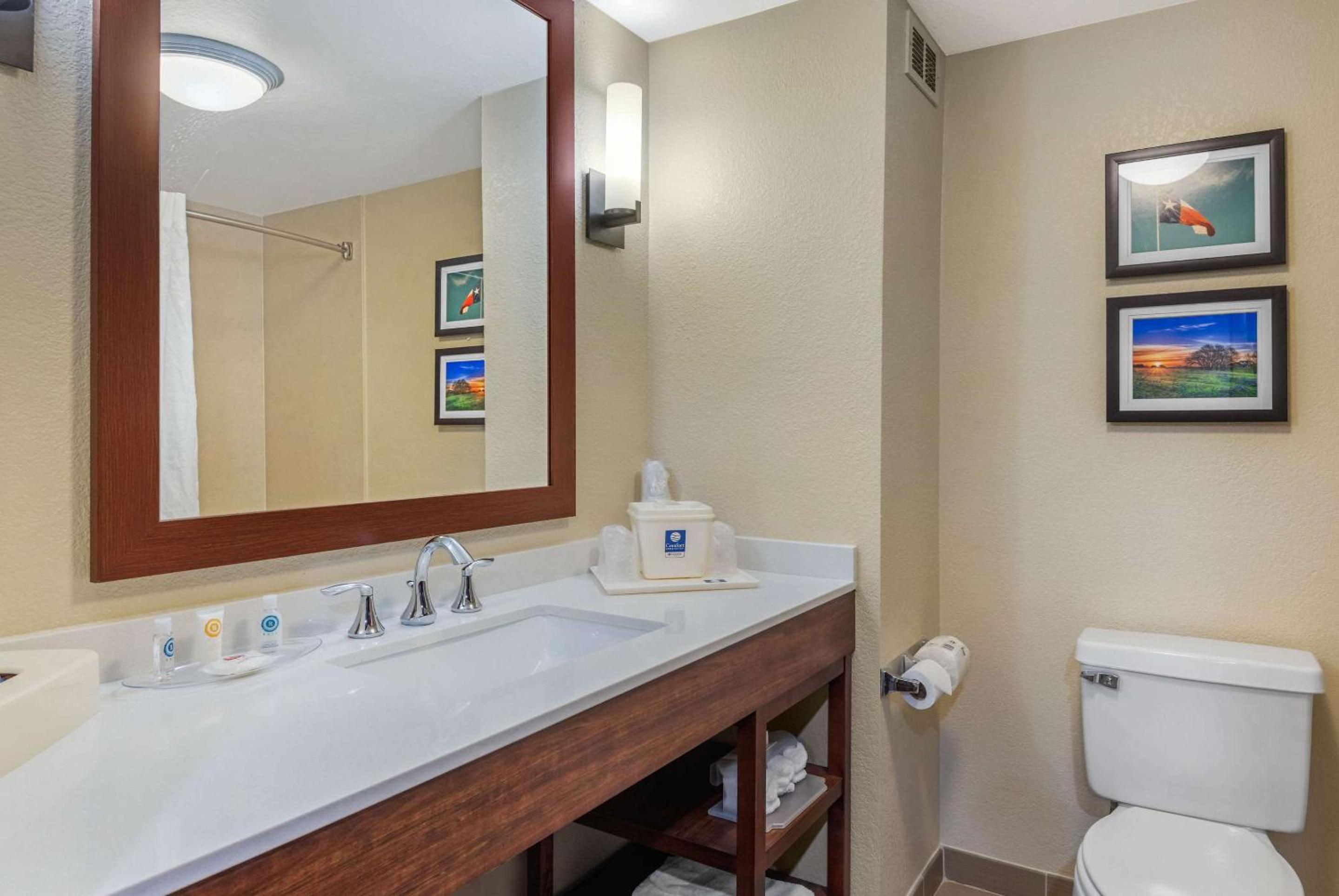 King Suite - Non-Smoking - Photo 4