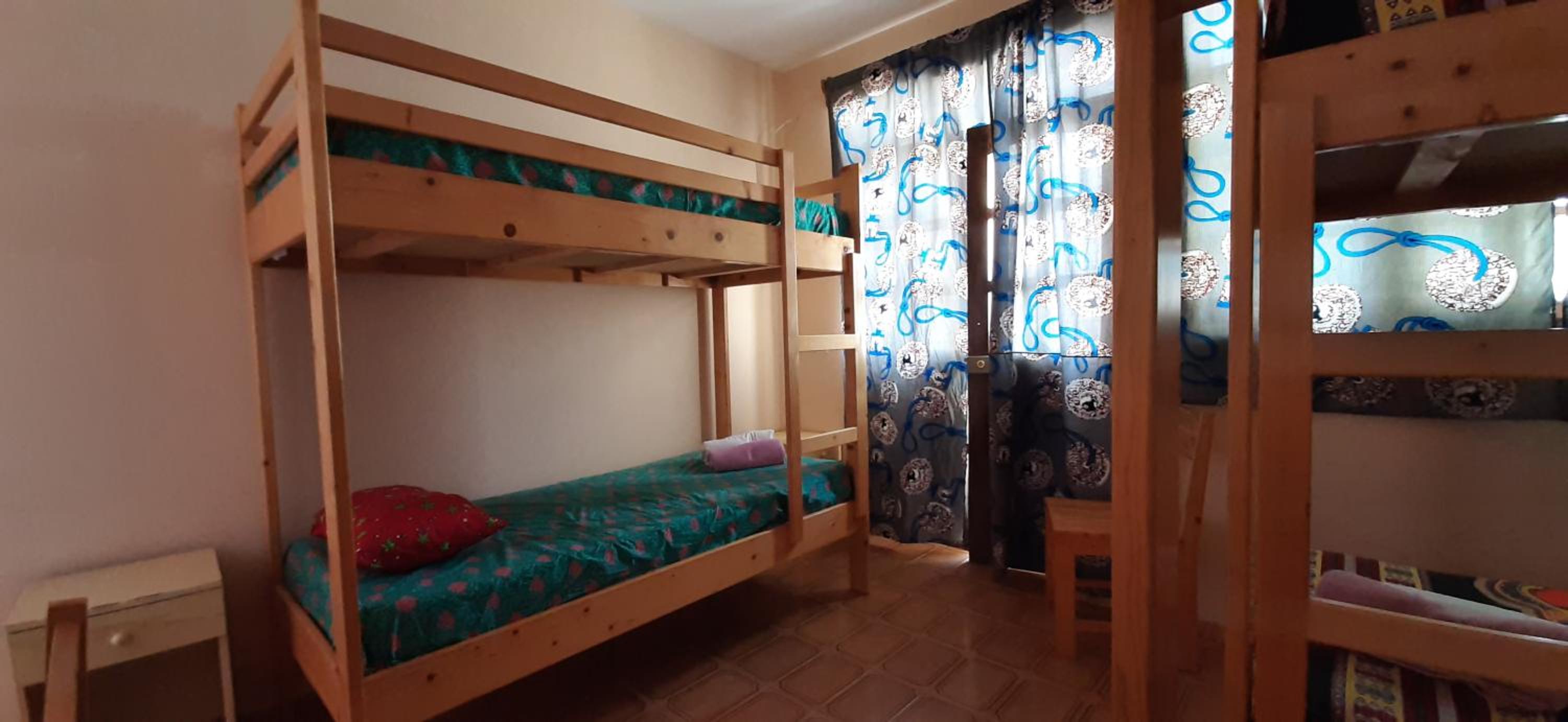 Bed in Mixed Dormitory Room
