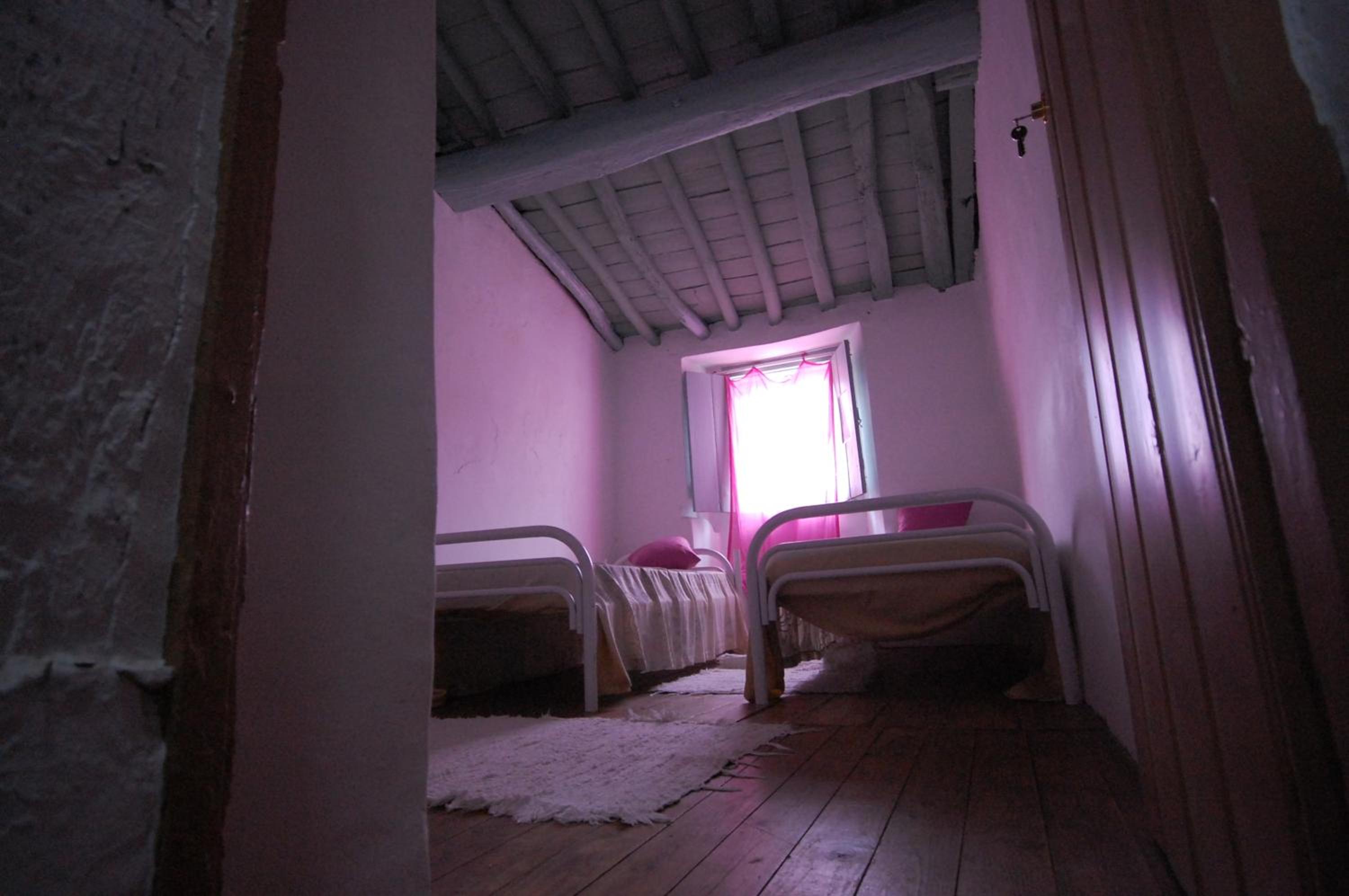 Twin Room photo 3