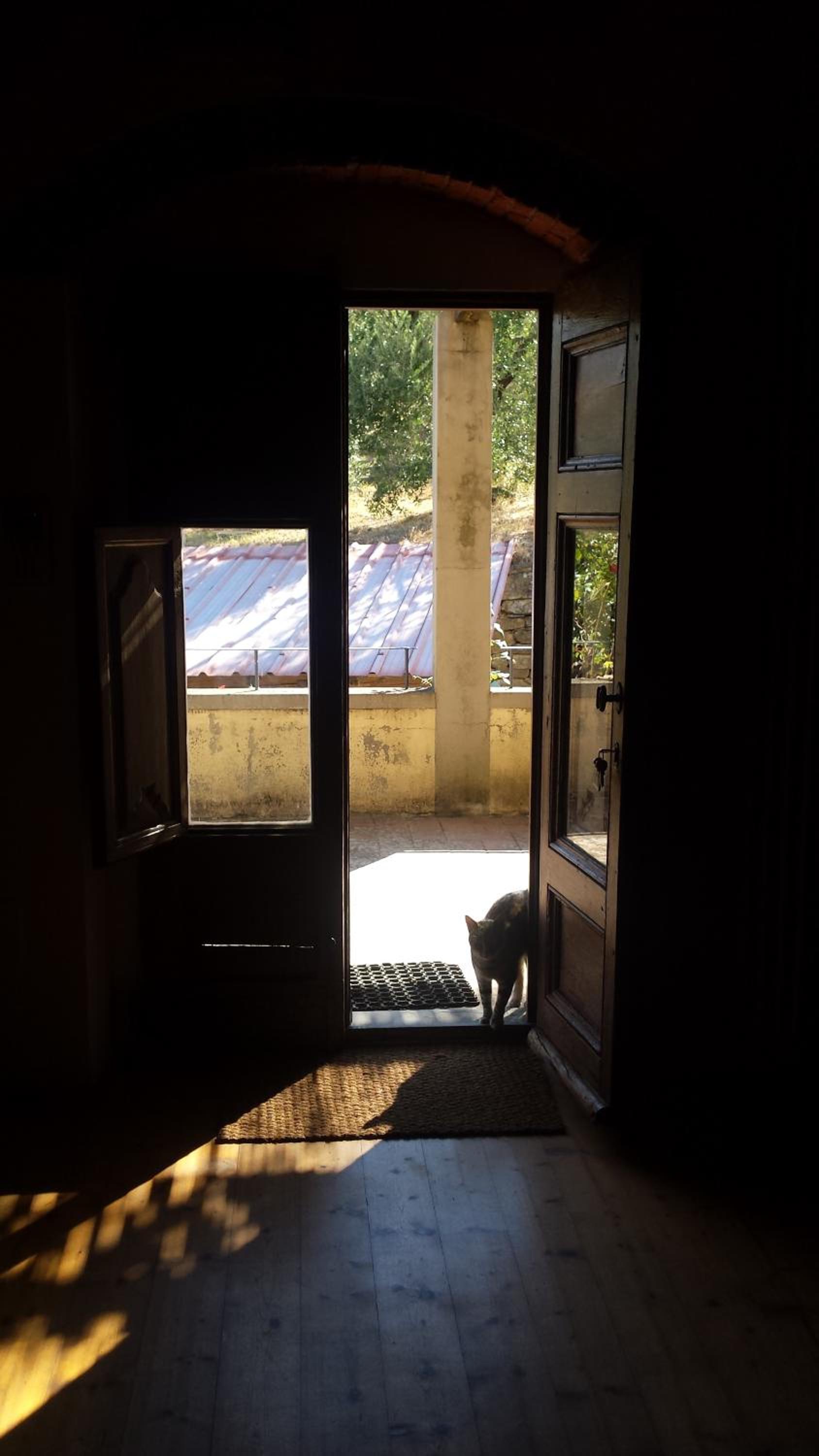 Studio with Terrace - Photo 37
