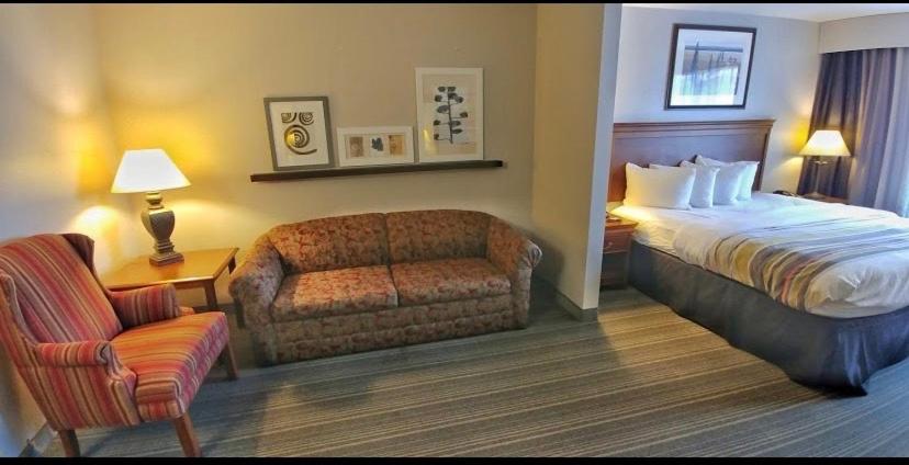 King Studio with Sofa Bed - Non-Smoking - Photo 1