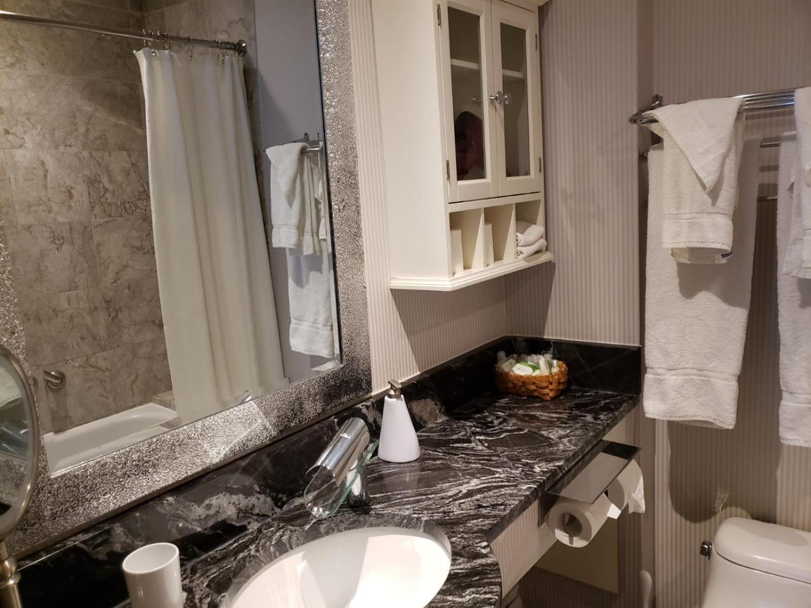 Deluxe King Suite - Photo 23