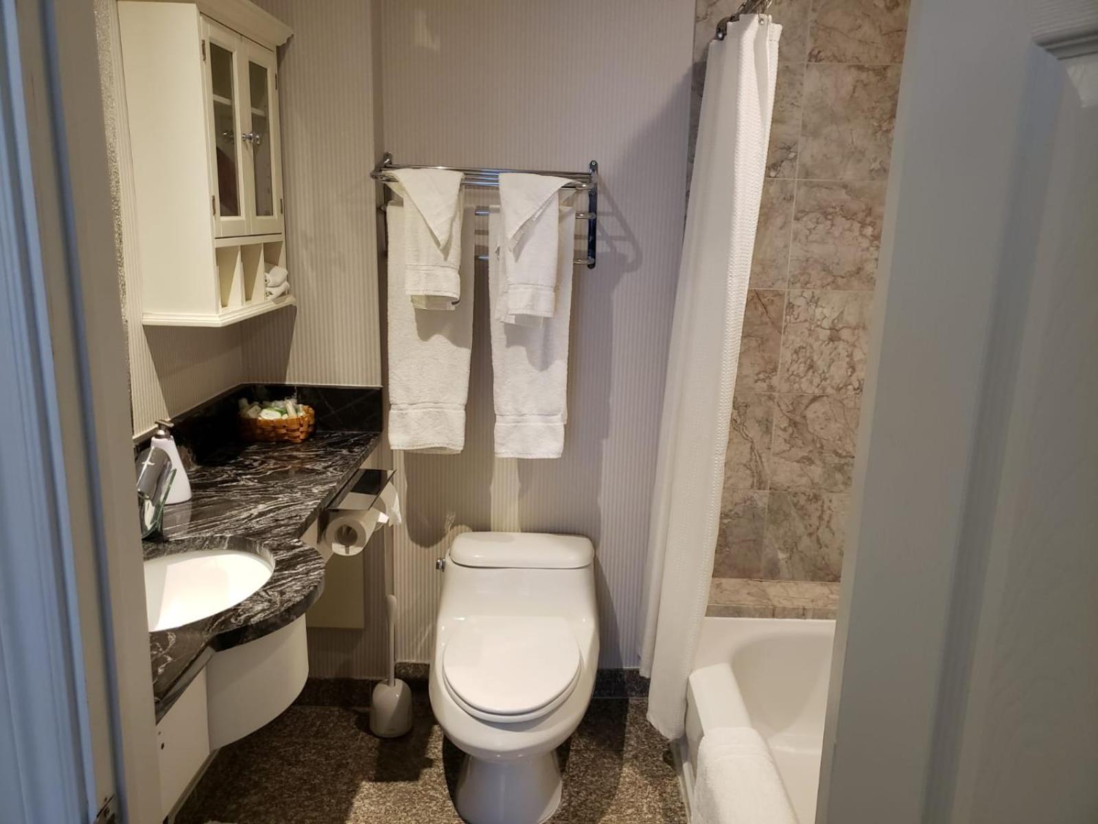 Deluxe King Suite - Photo 24