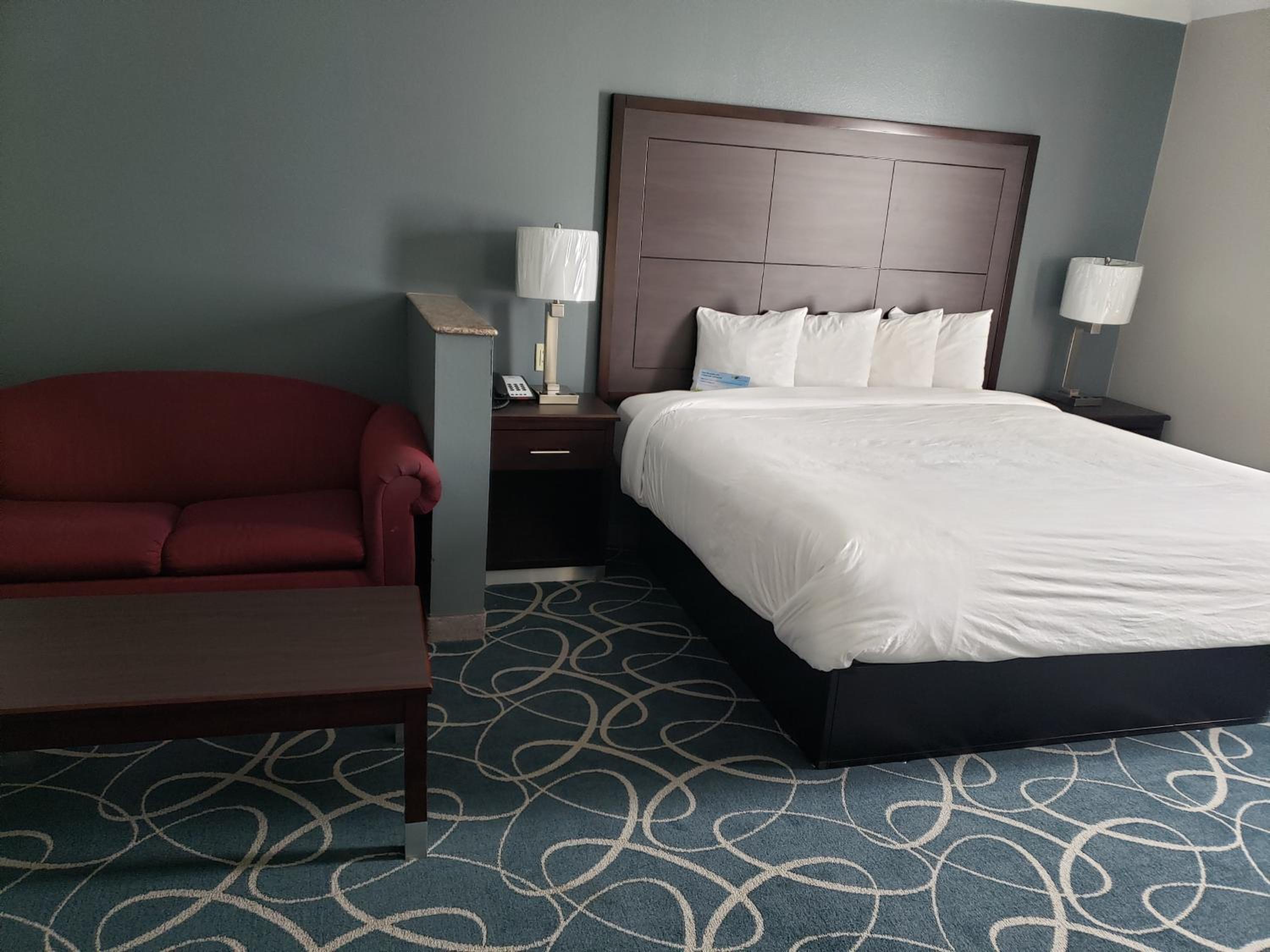 Deluxe King Suite - Non-Smoking - Photo 1